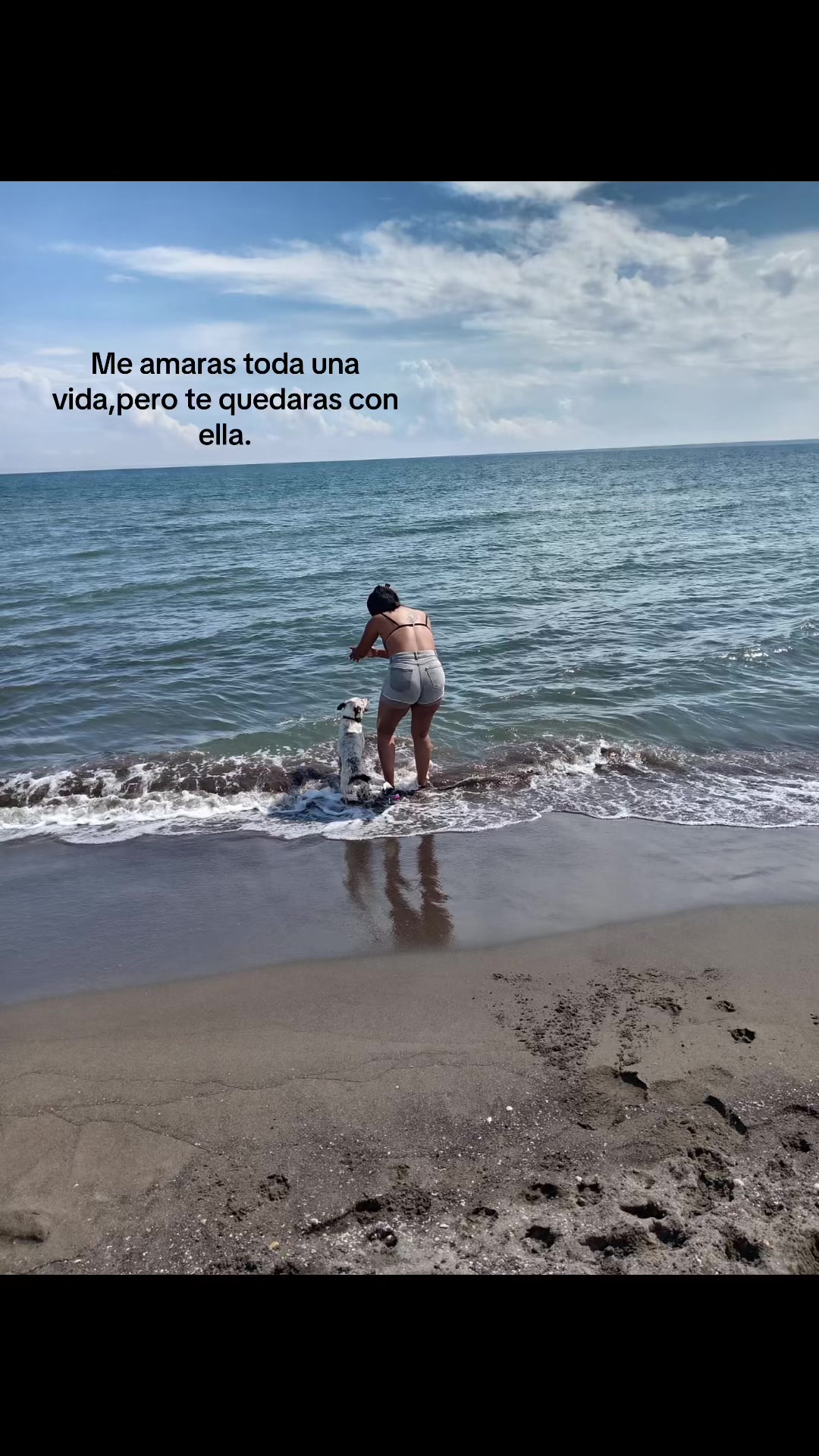 @Evelin Lagunes