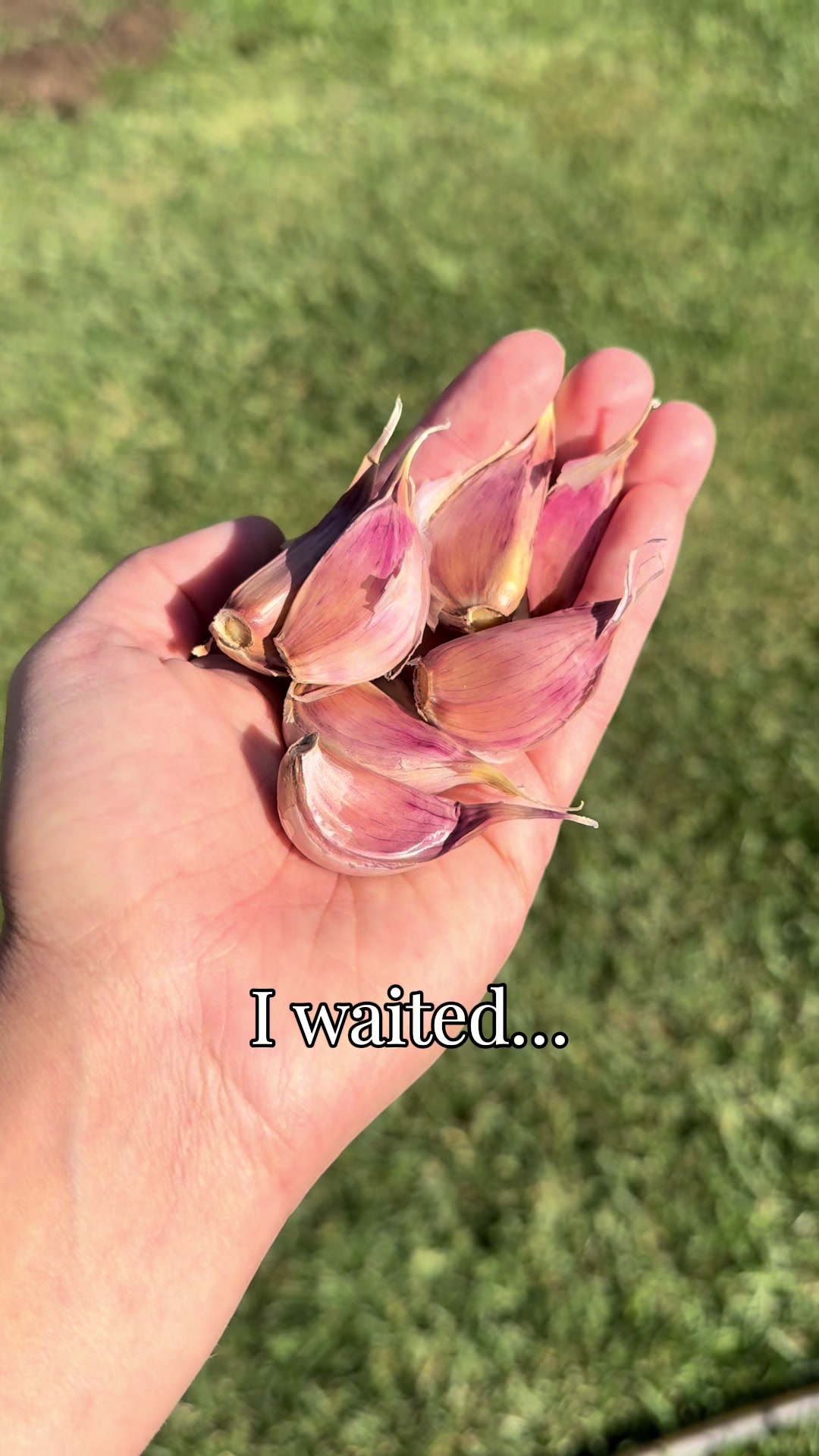 @plantingwithe