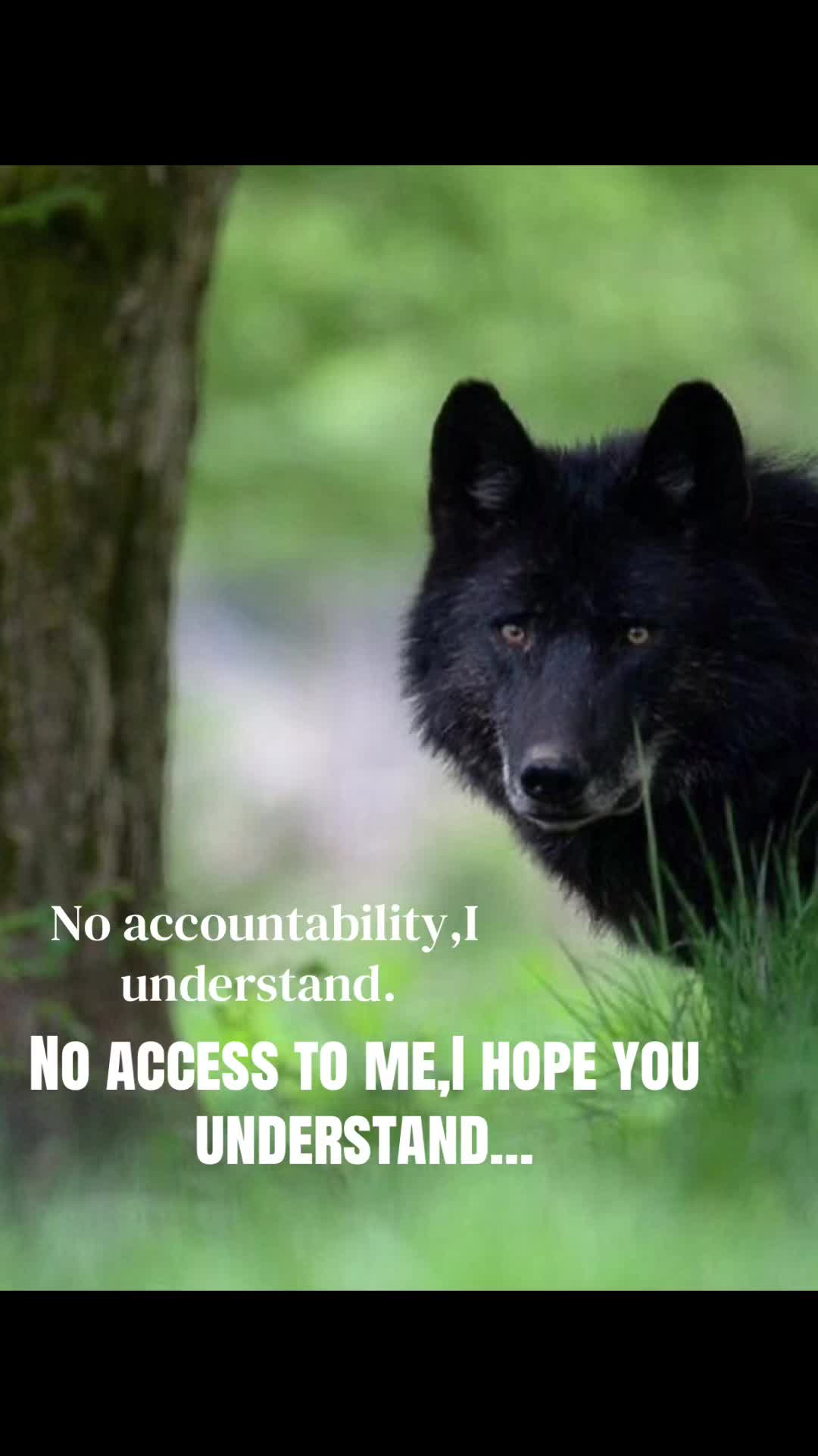 @🪬Conscious_LoneWolf🐺