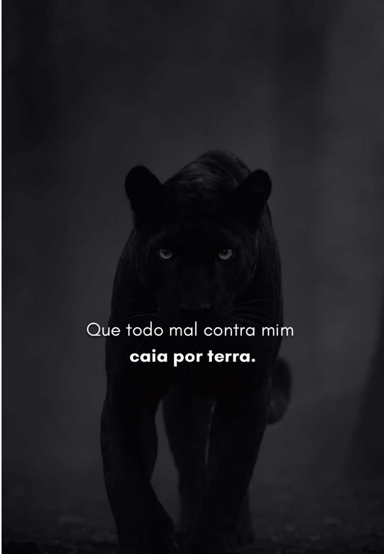 @Sombra de Veritas