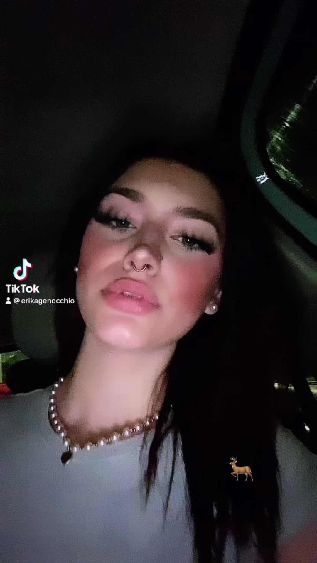 @erikagenocchio
