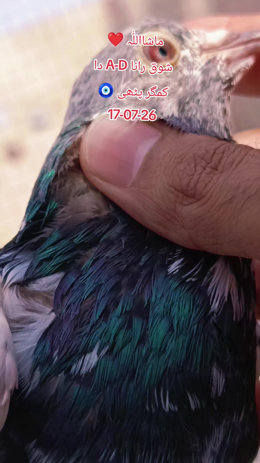 @RanaAdi302