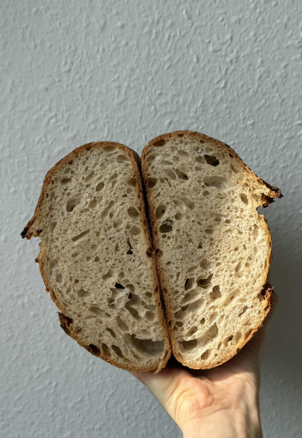 @einfachnurbrot_