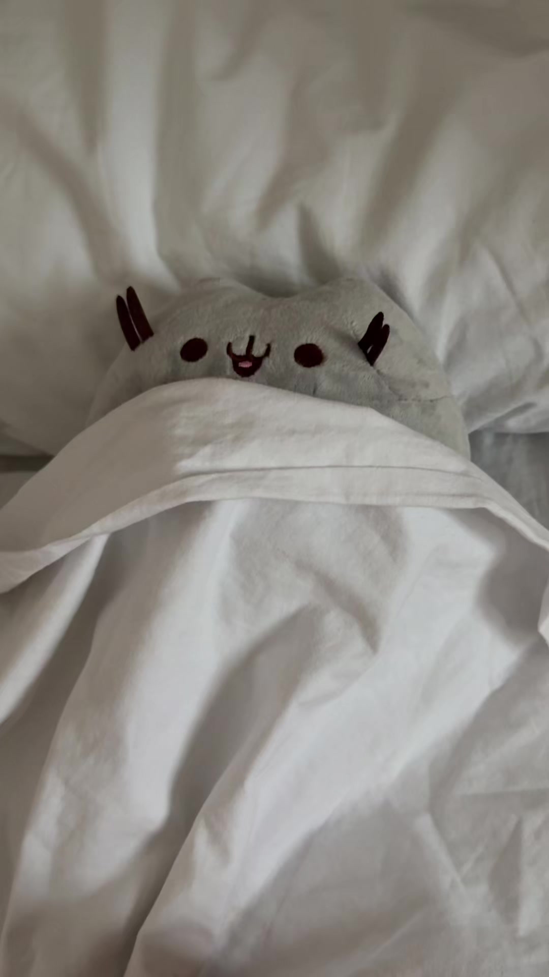 @kitten