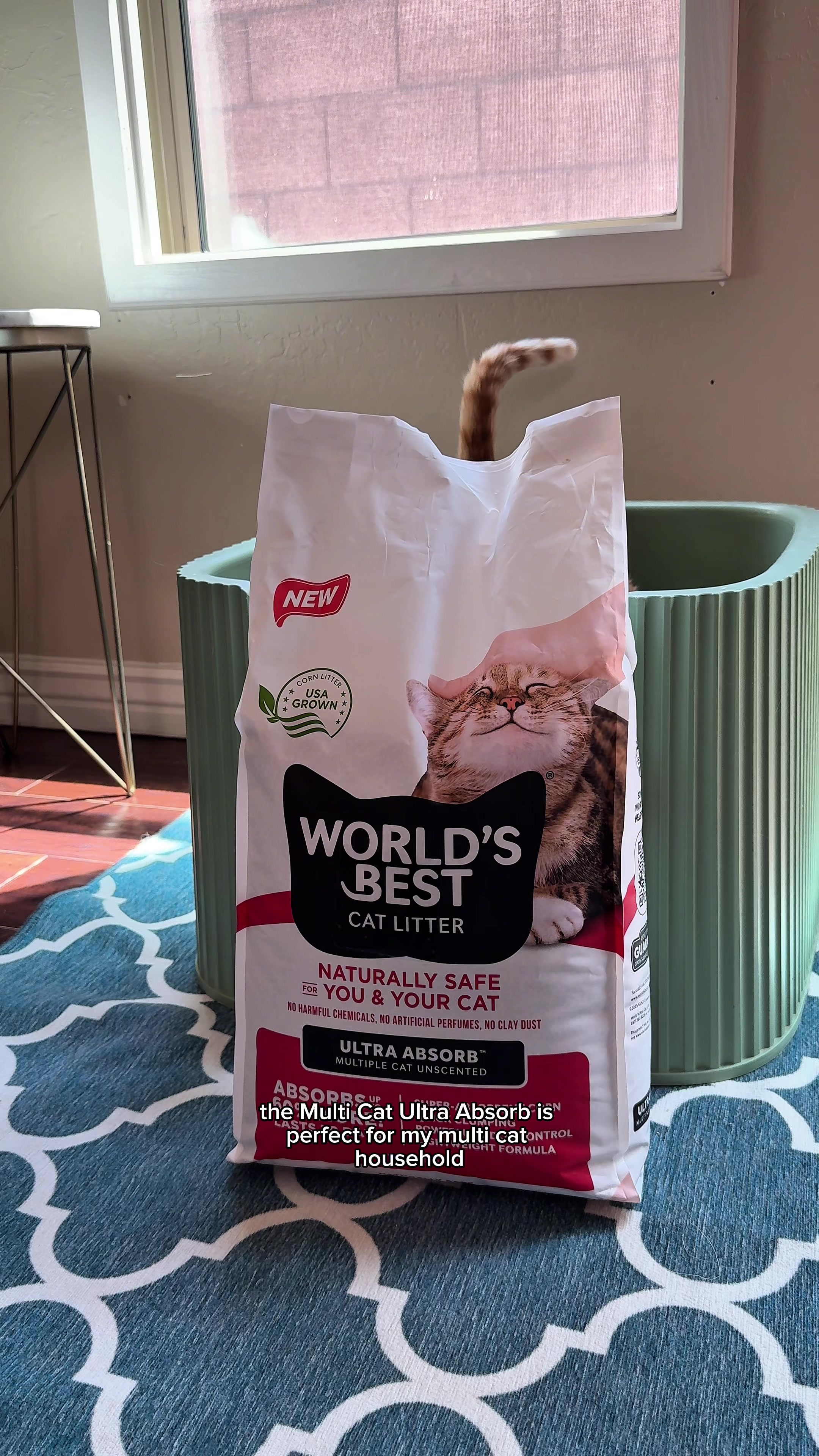 @Feminist Kitty | Cat Nutrition