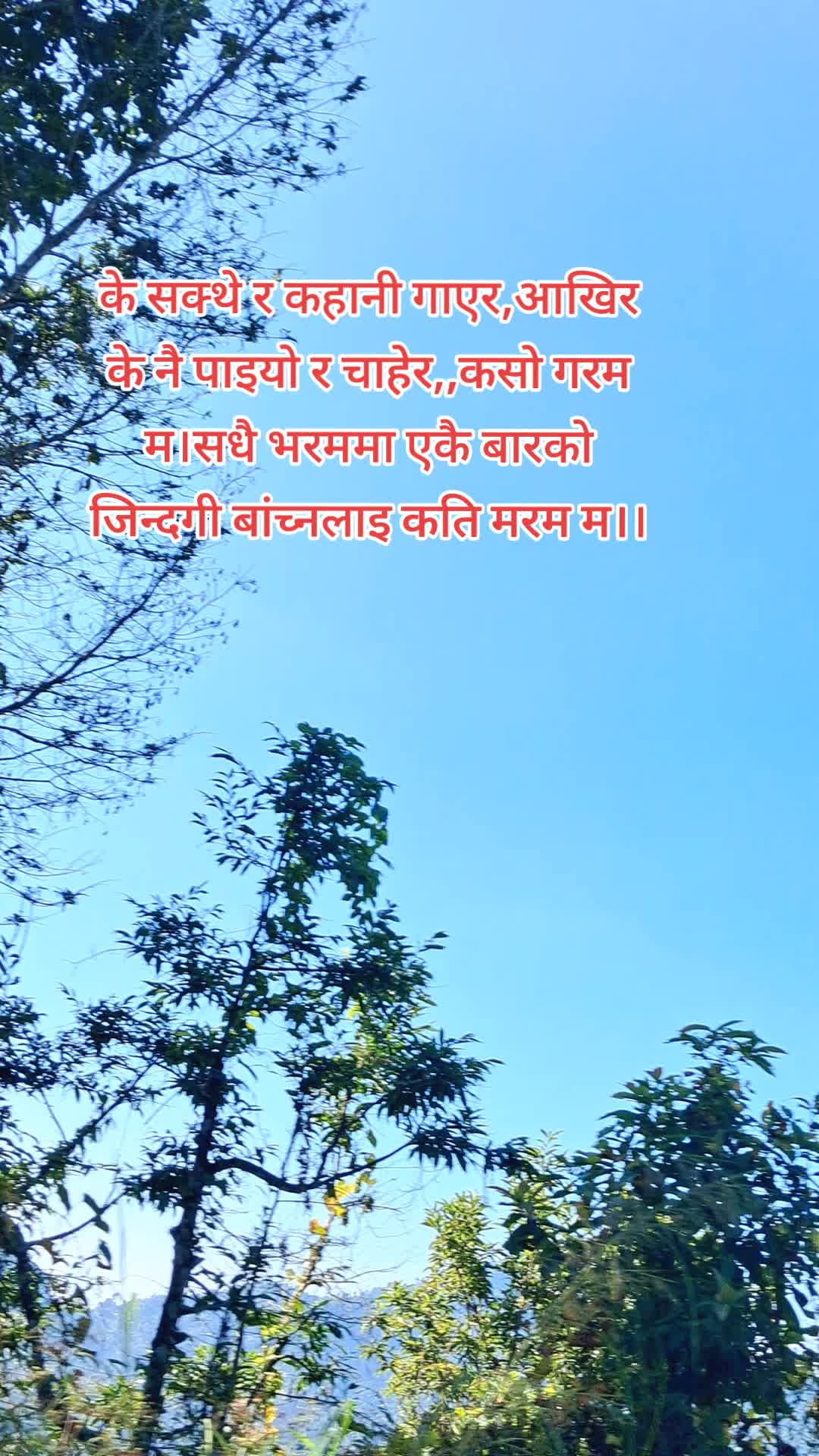 @ङौसार