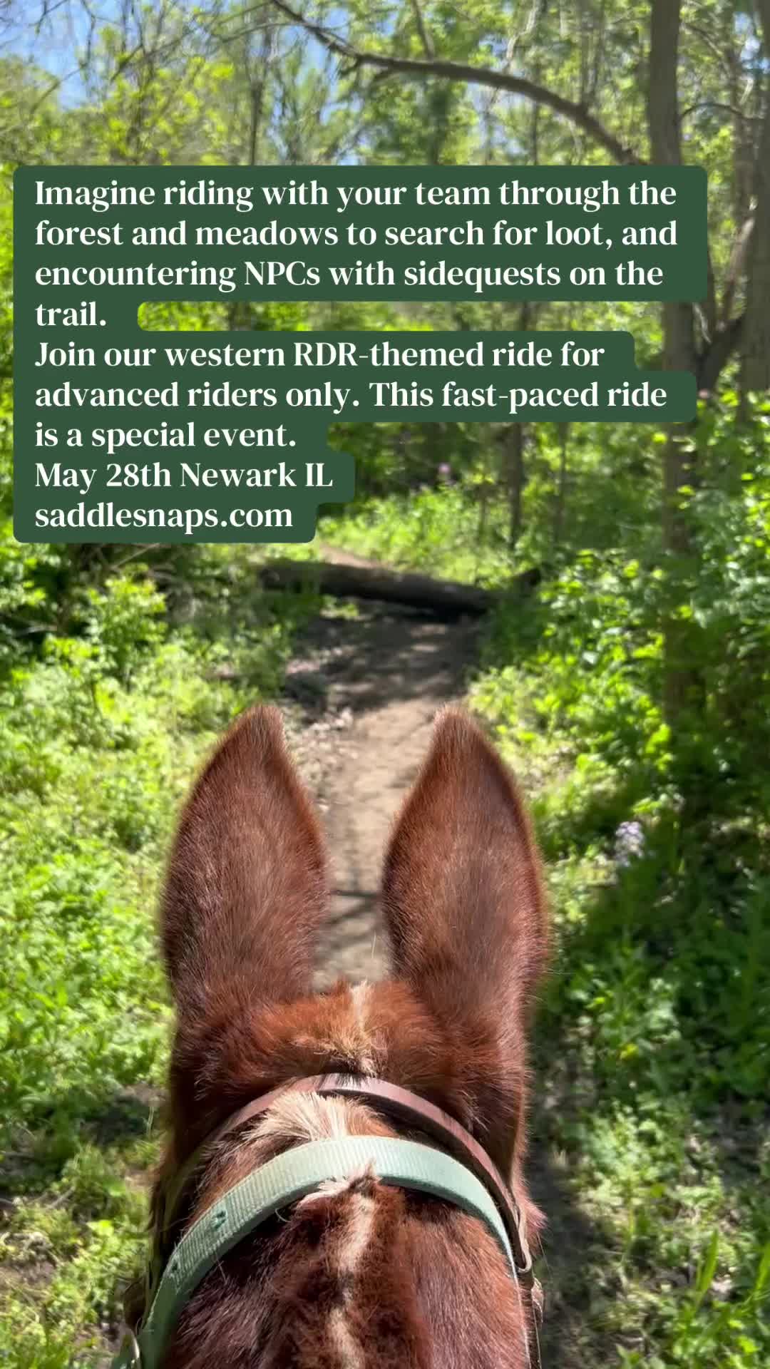 @SaddleSnaps