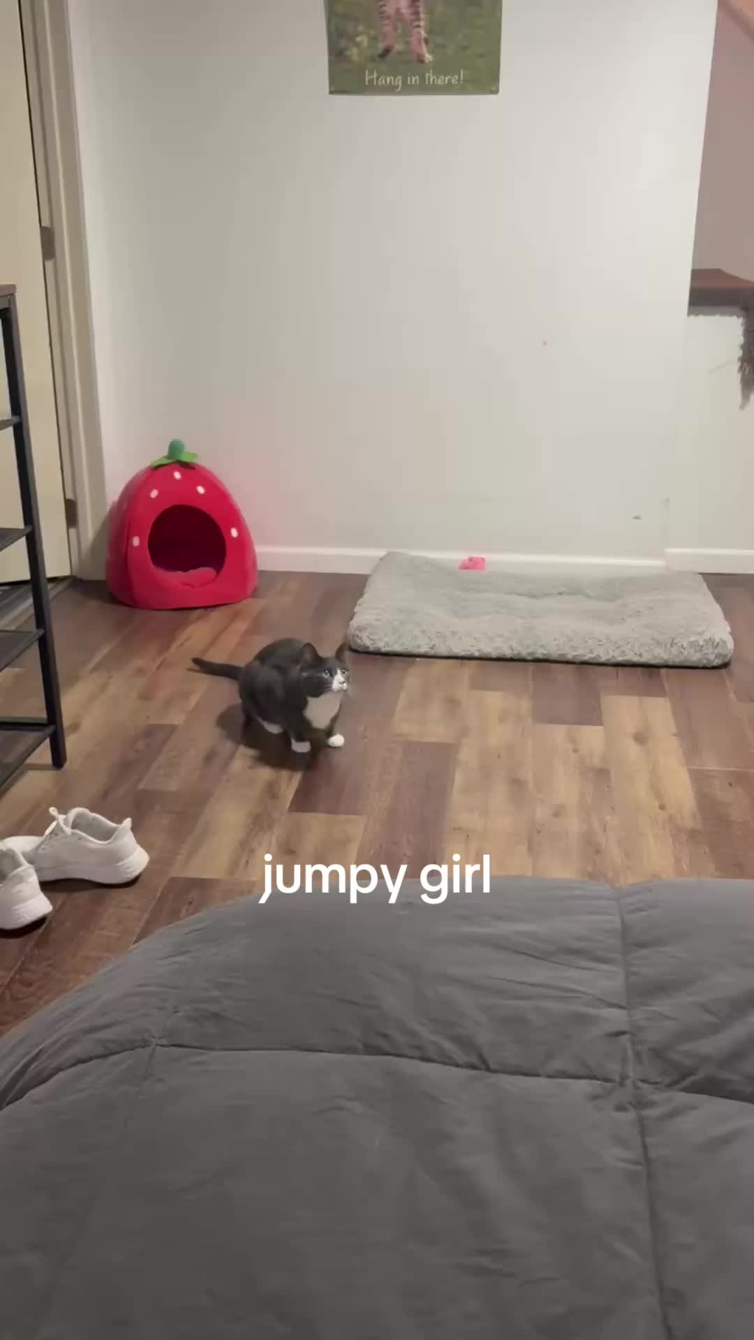@maryyy🍄🧚🌙🐈⬛