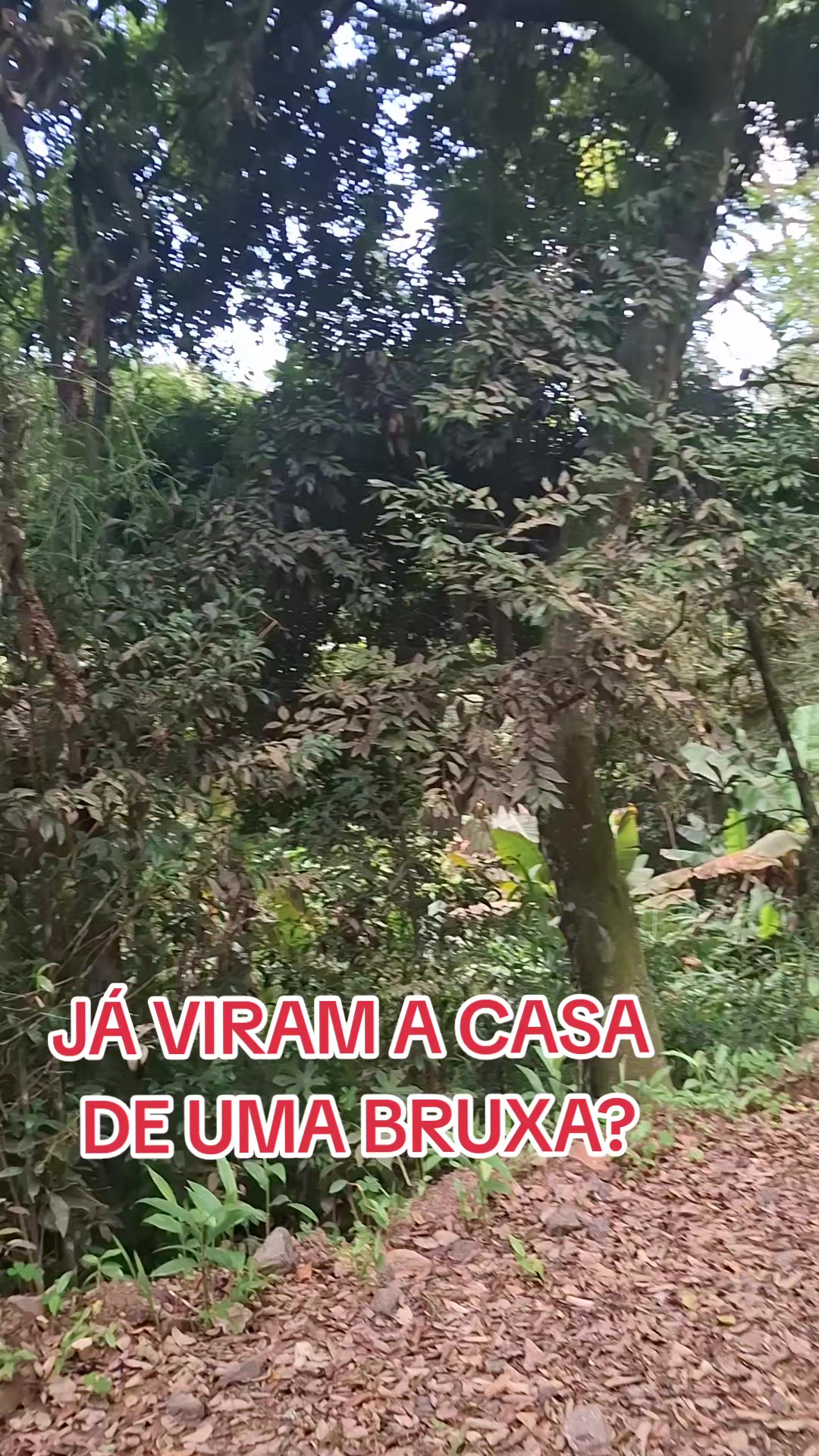 @Frequencia Sobrenatural