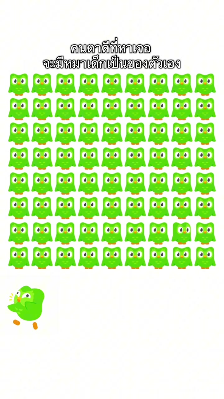 @Duolingo Thailand 🇹🇭