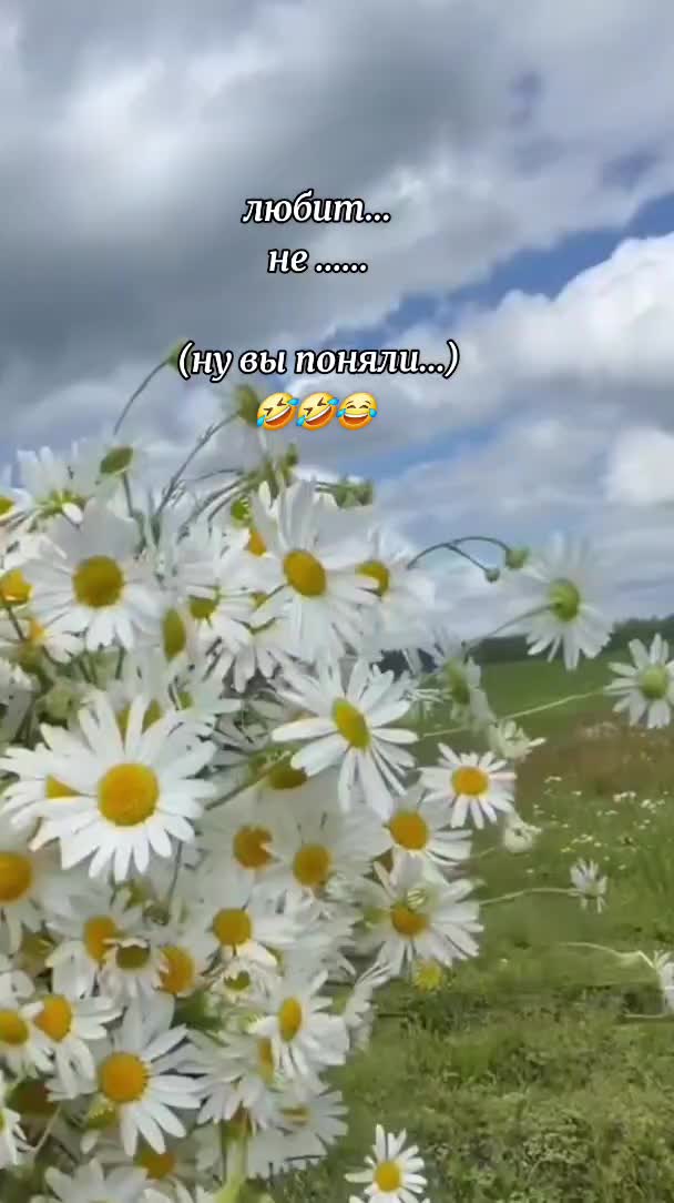 @Nata Liya
