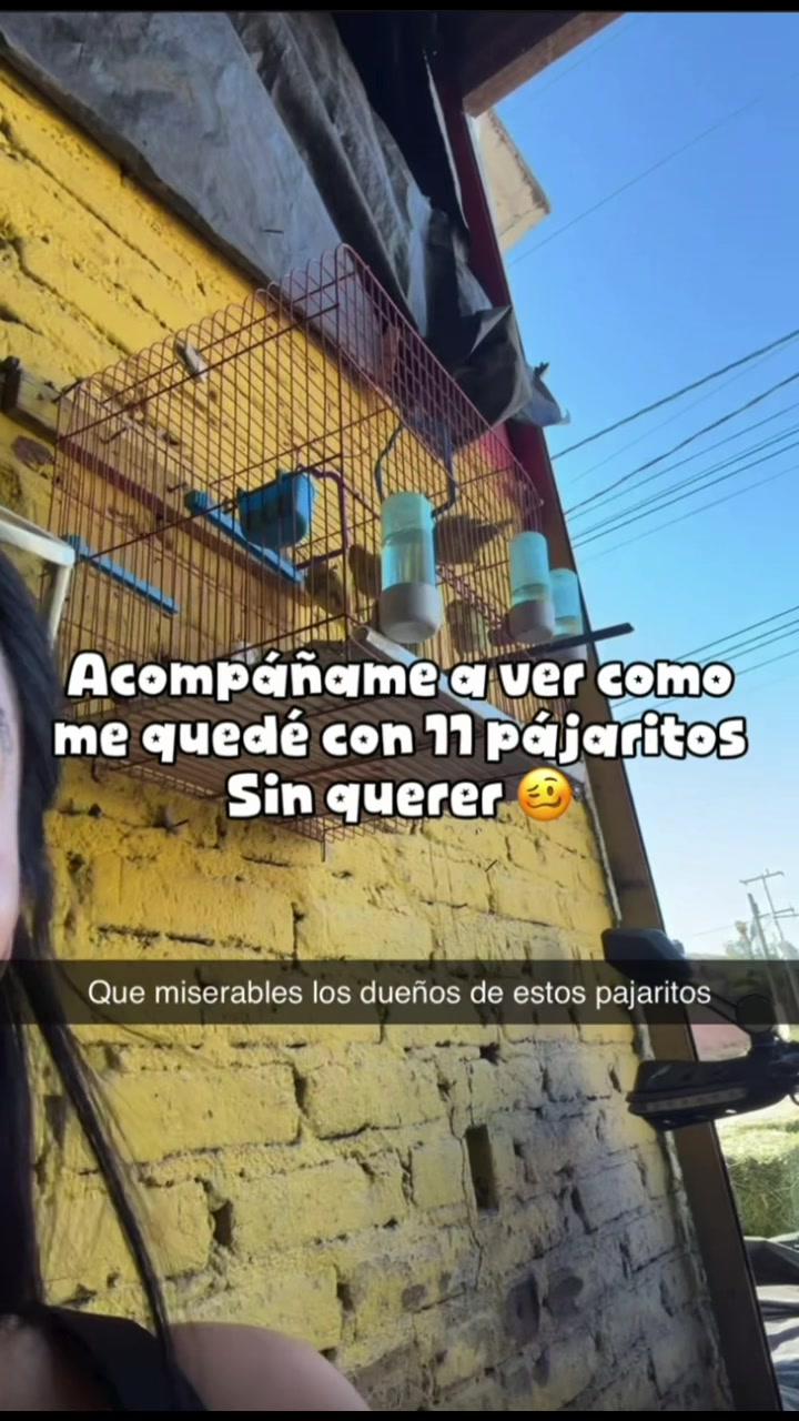 @Marlen Regina