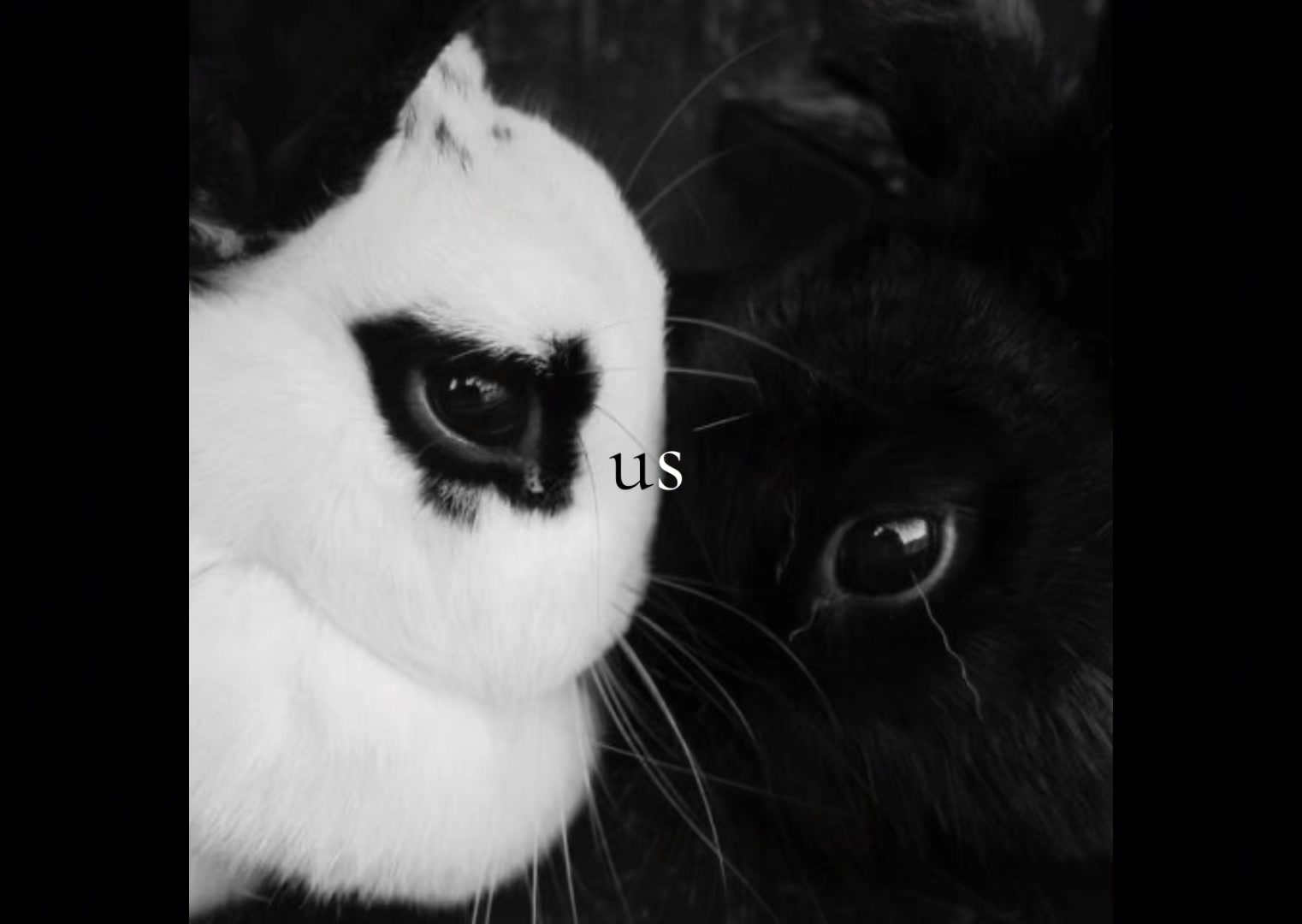 @𝒟ℴ𝓅ℯ ℬℴ𝒾 🪽