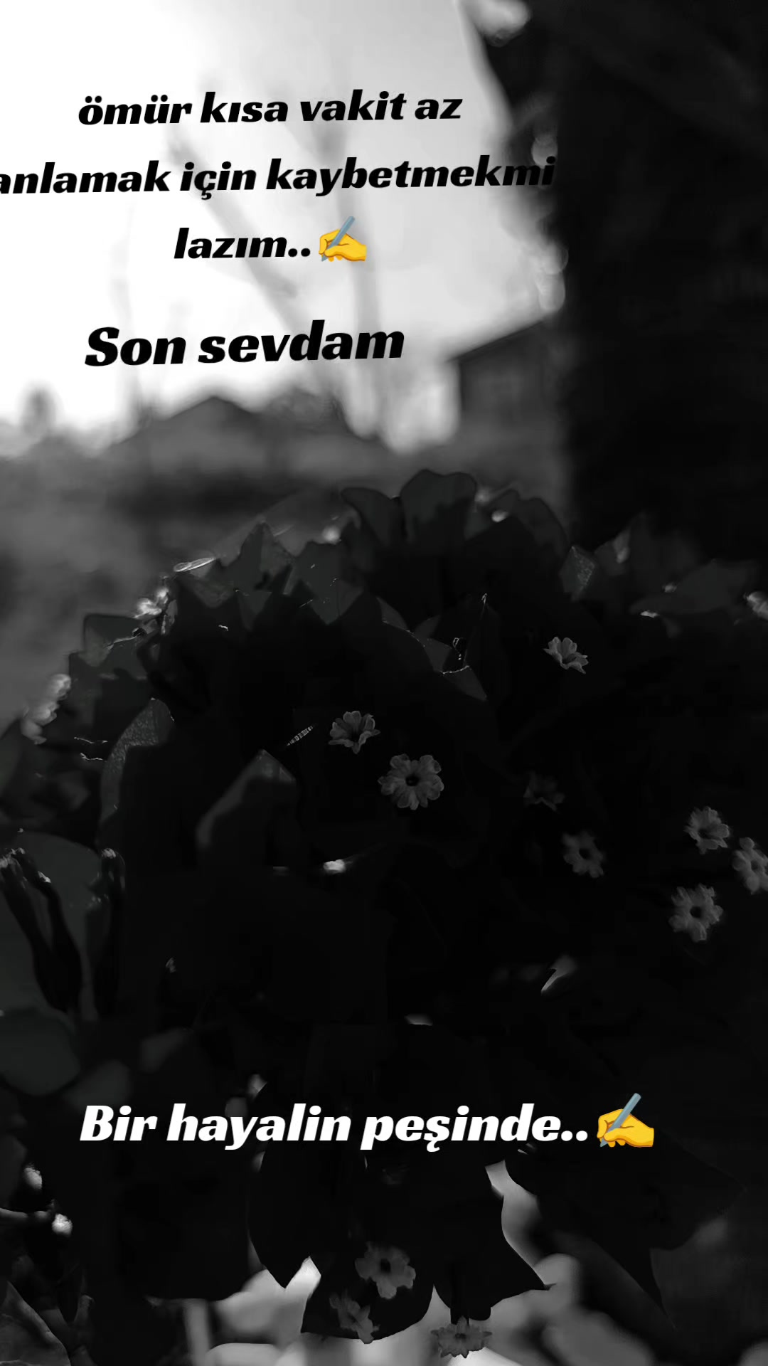 @35 _ D.E.V.R.A.N _ 65