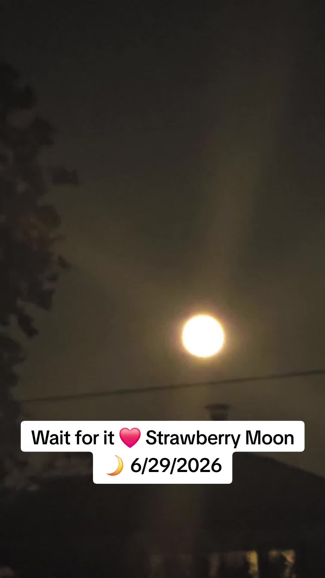 @JustFocused🙏 👑 ✨️