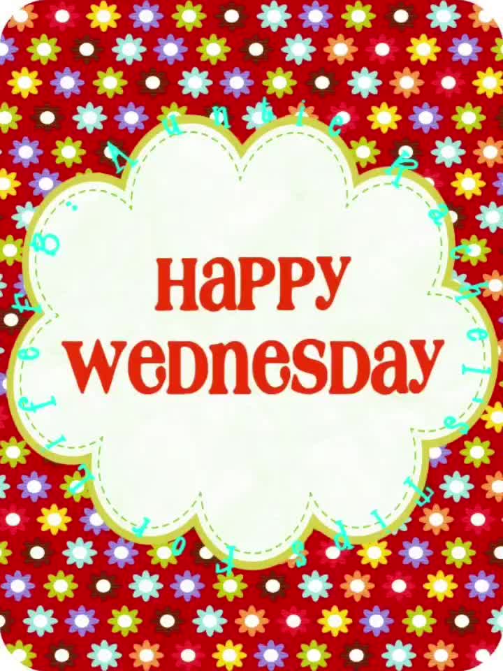 @Shannon Gonzales 555 โ๏ธ