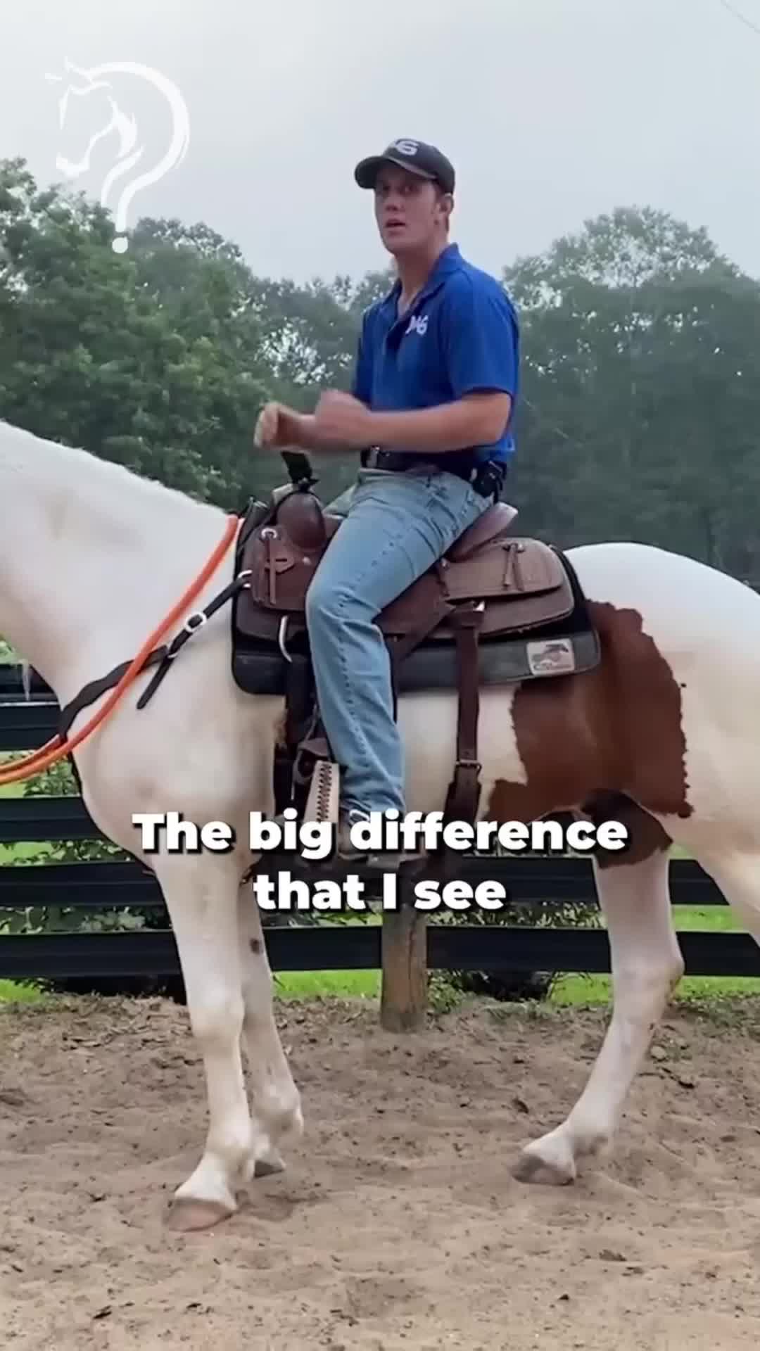 @Horse Help