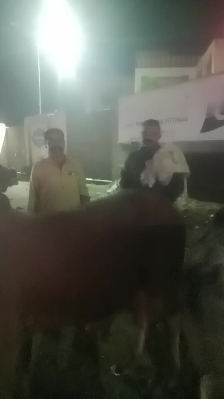 @Ch M Shahzad gujjar