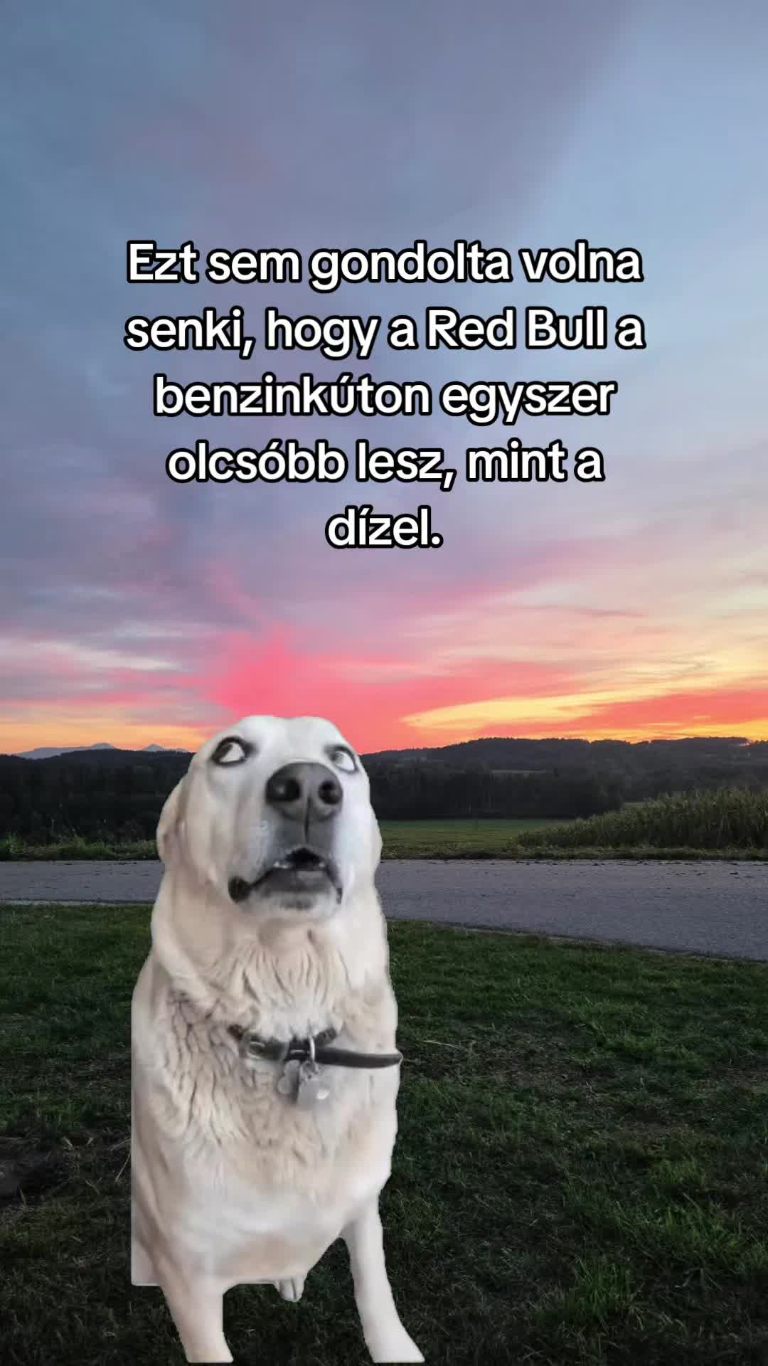 @🌷 Szandi 🌷