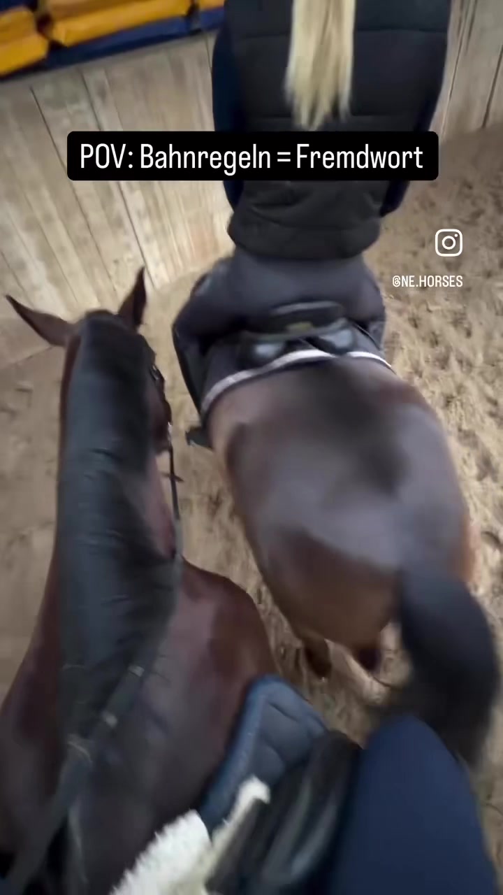 @ne.horses