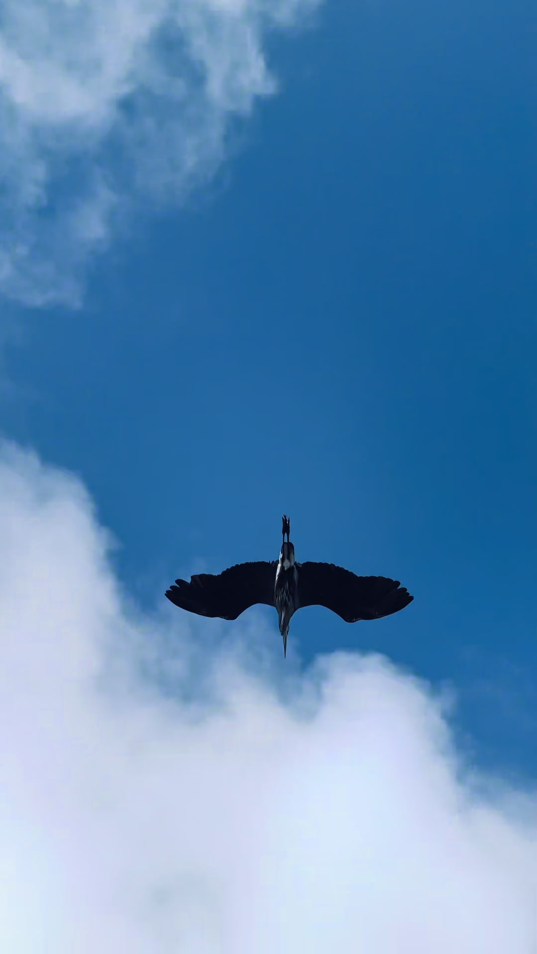 @The Sour Notes