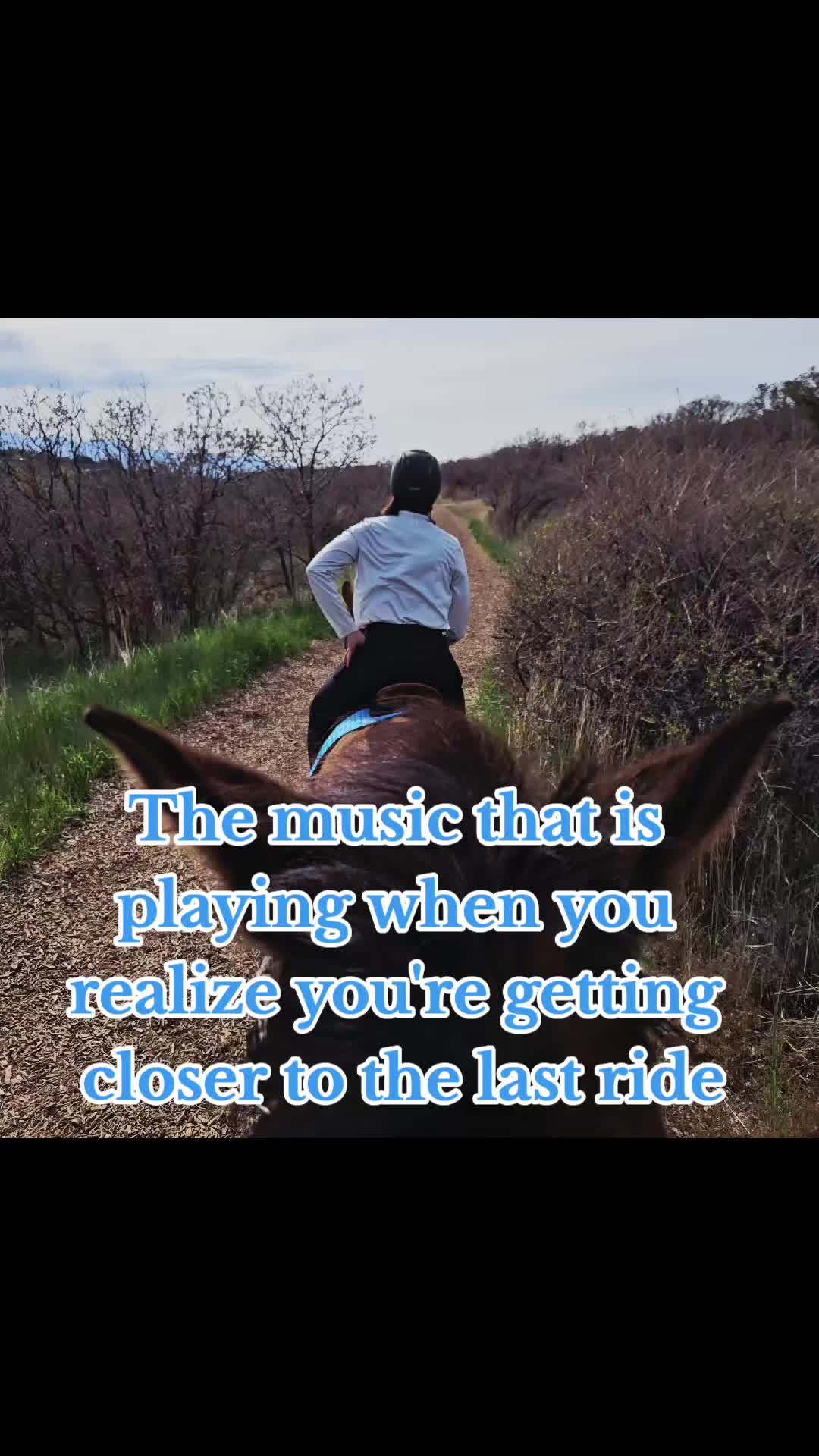 @Stacey Balanced Rider