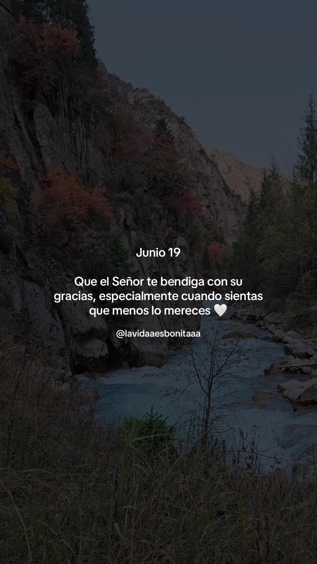 @vidabonita❤️🩹