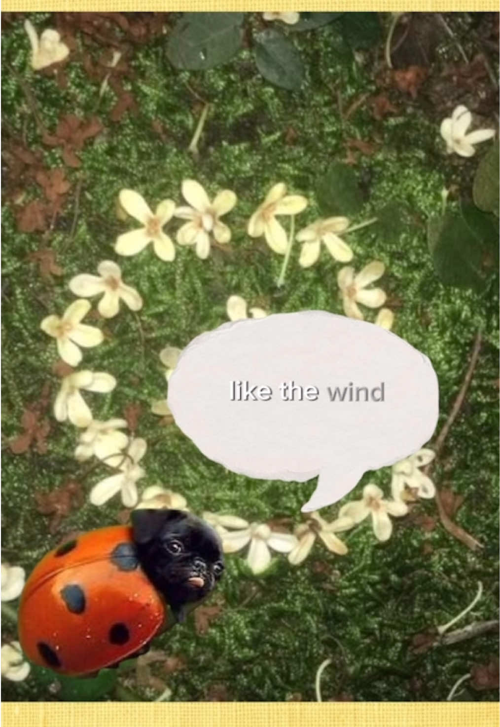 @꩜