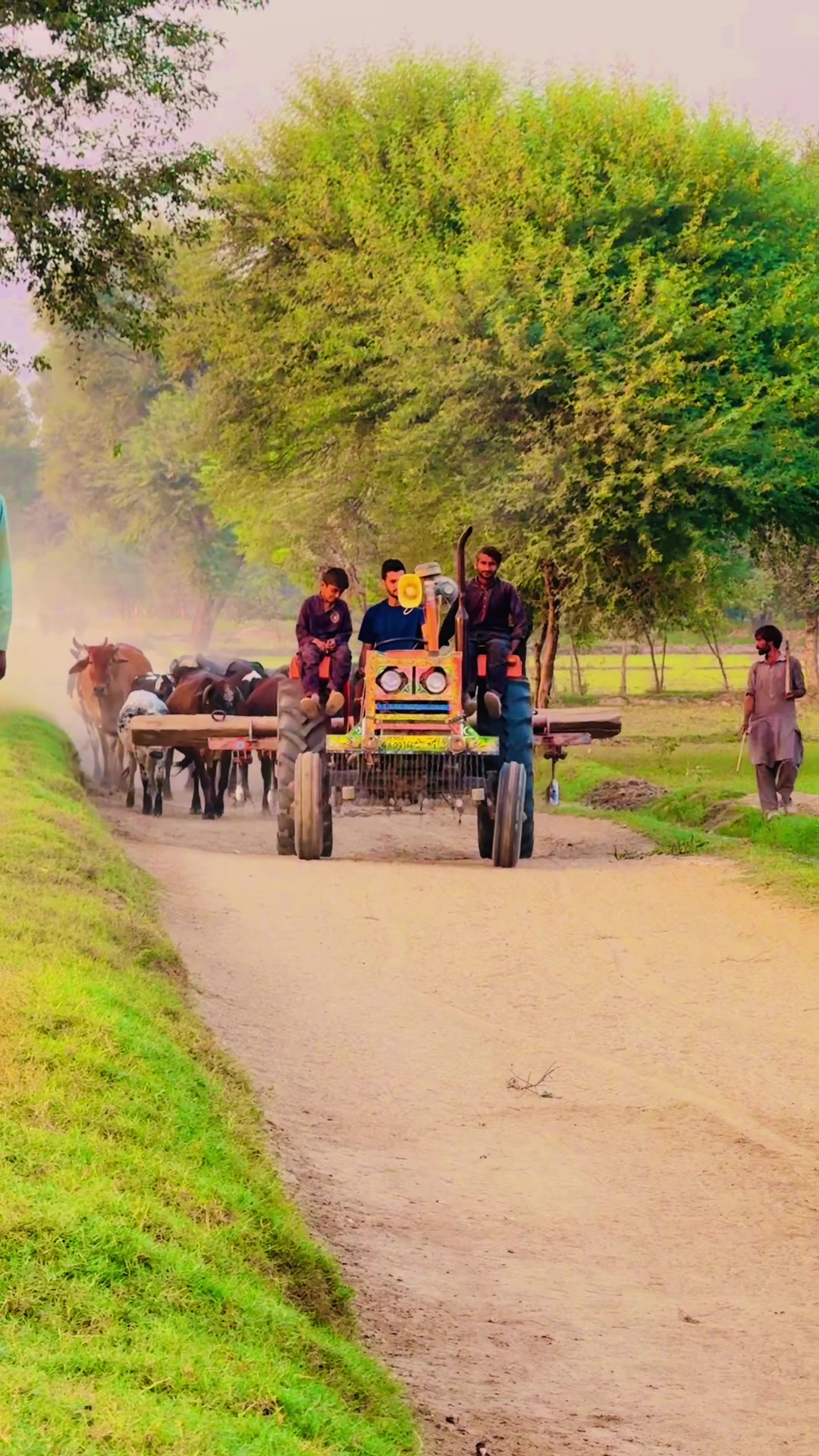 @سوہنا پنجاب🌾🫀