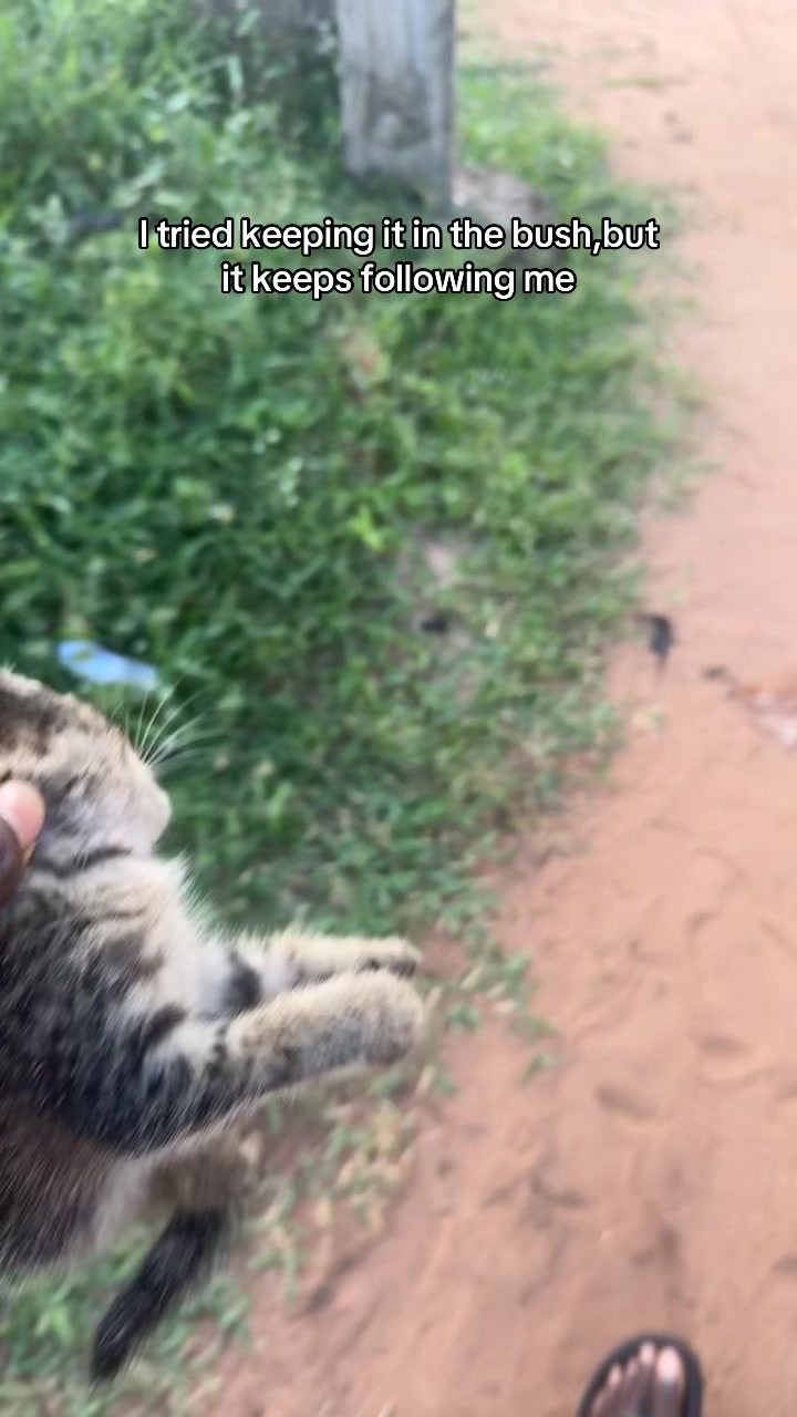 @papa_max7