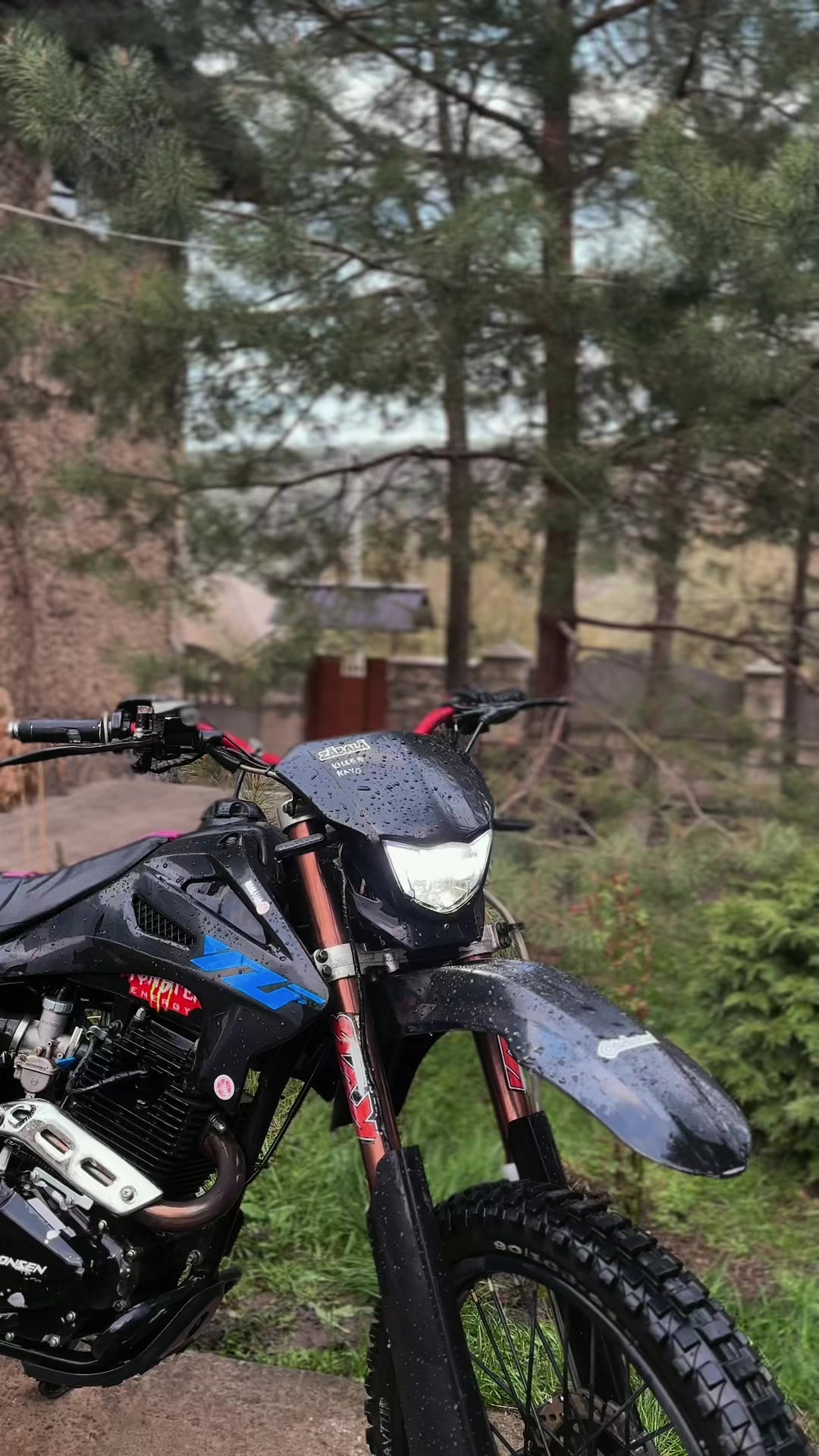 @Zavtur🇦🇱