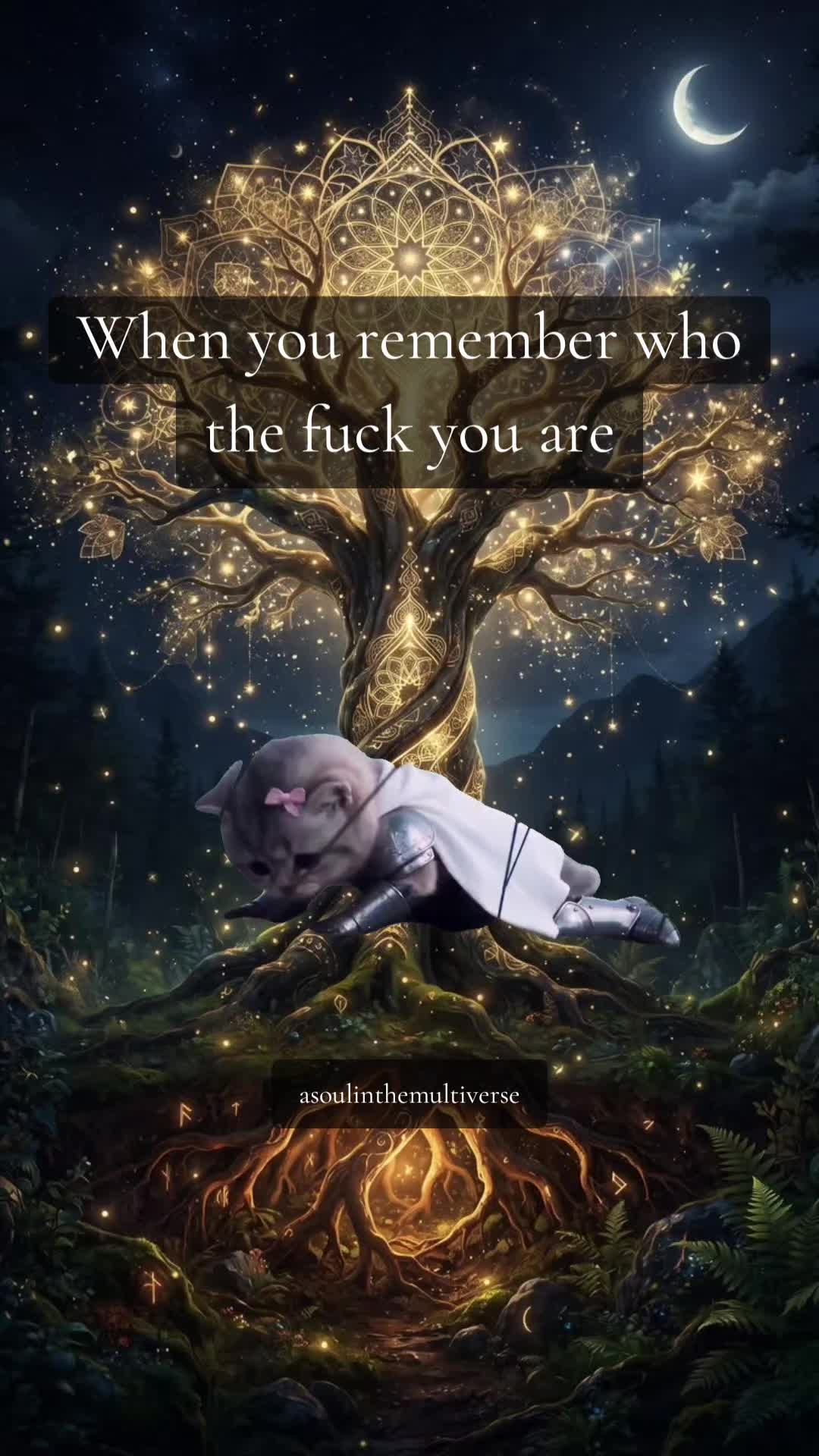 @A Soul in the Multiverse