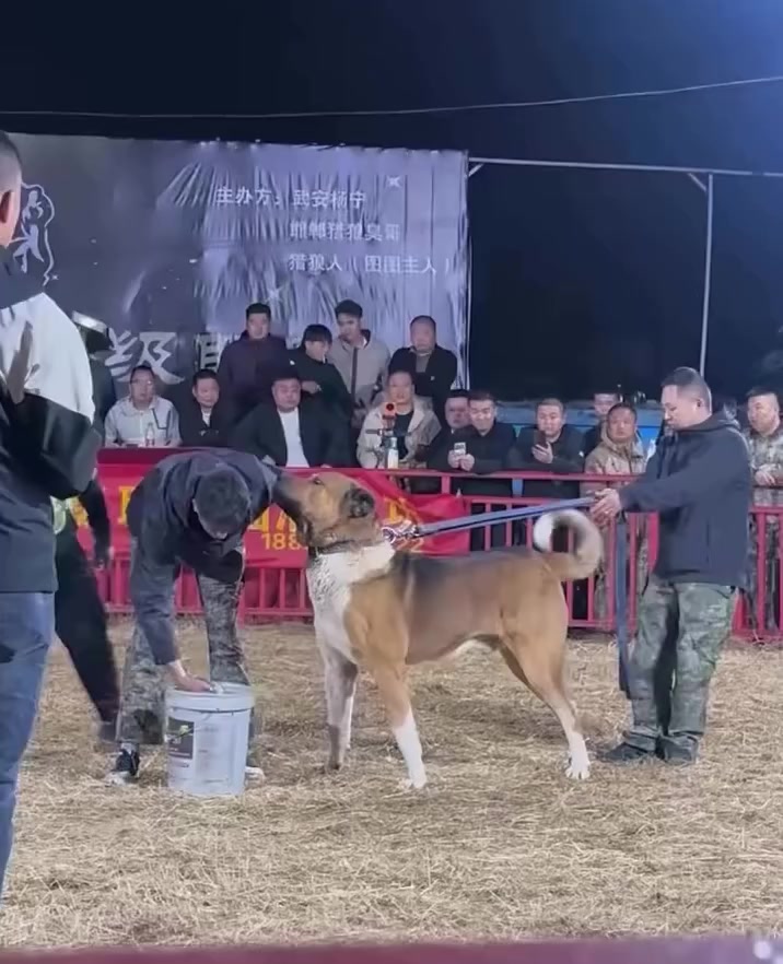 @şəmkir👊