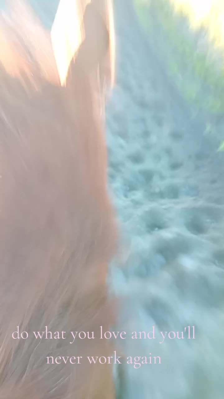 @AotearoHAXXx