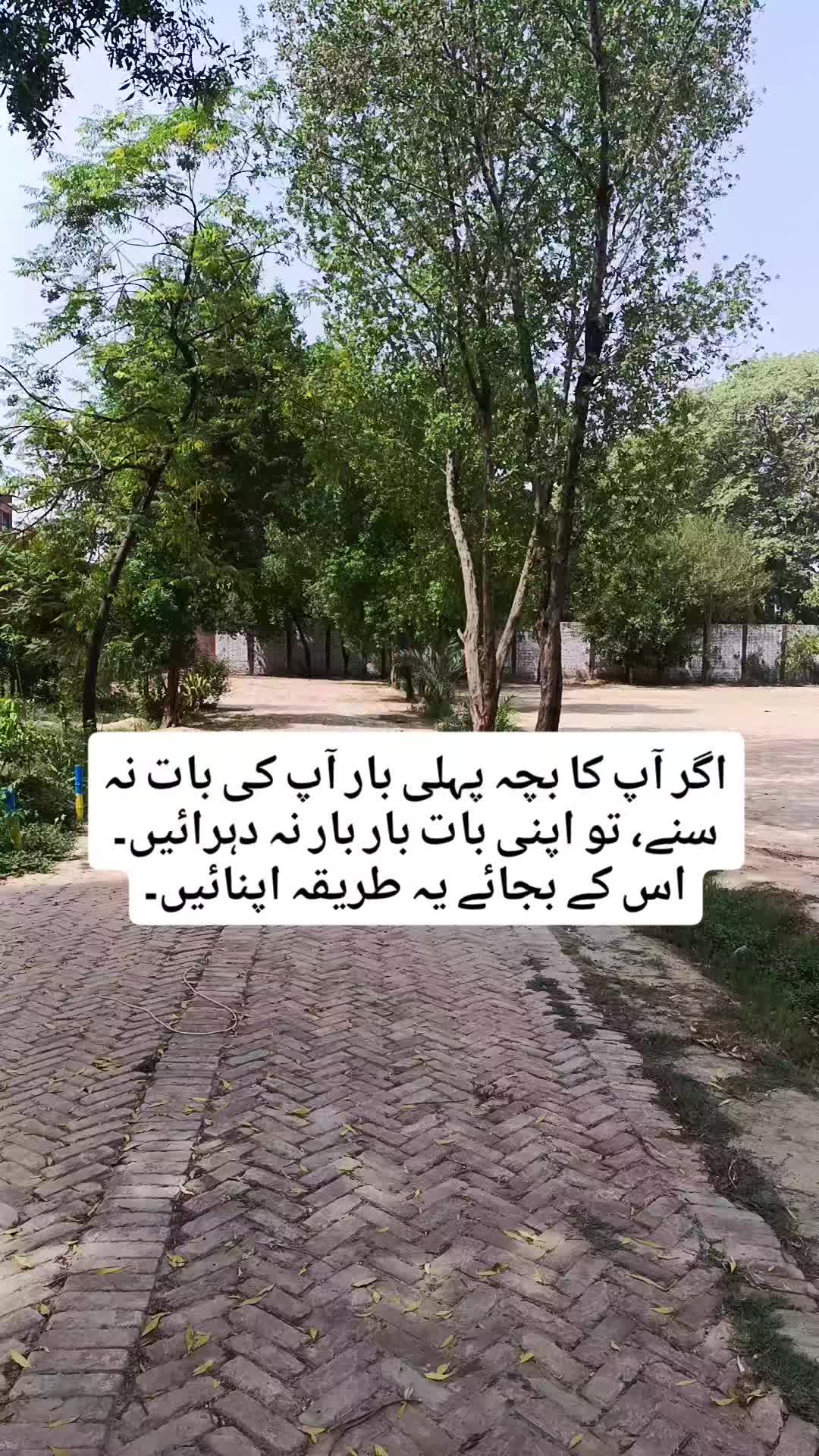 @Muhammad Ashfaq