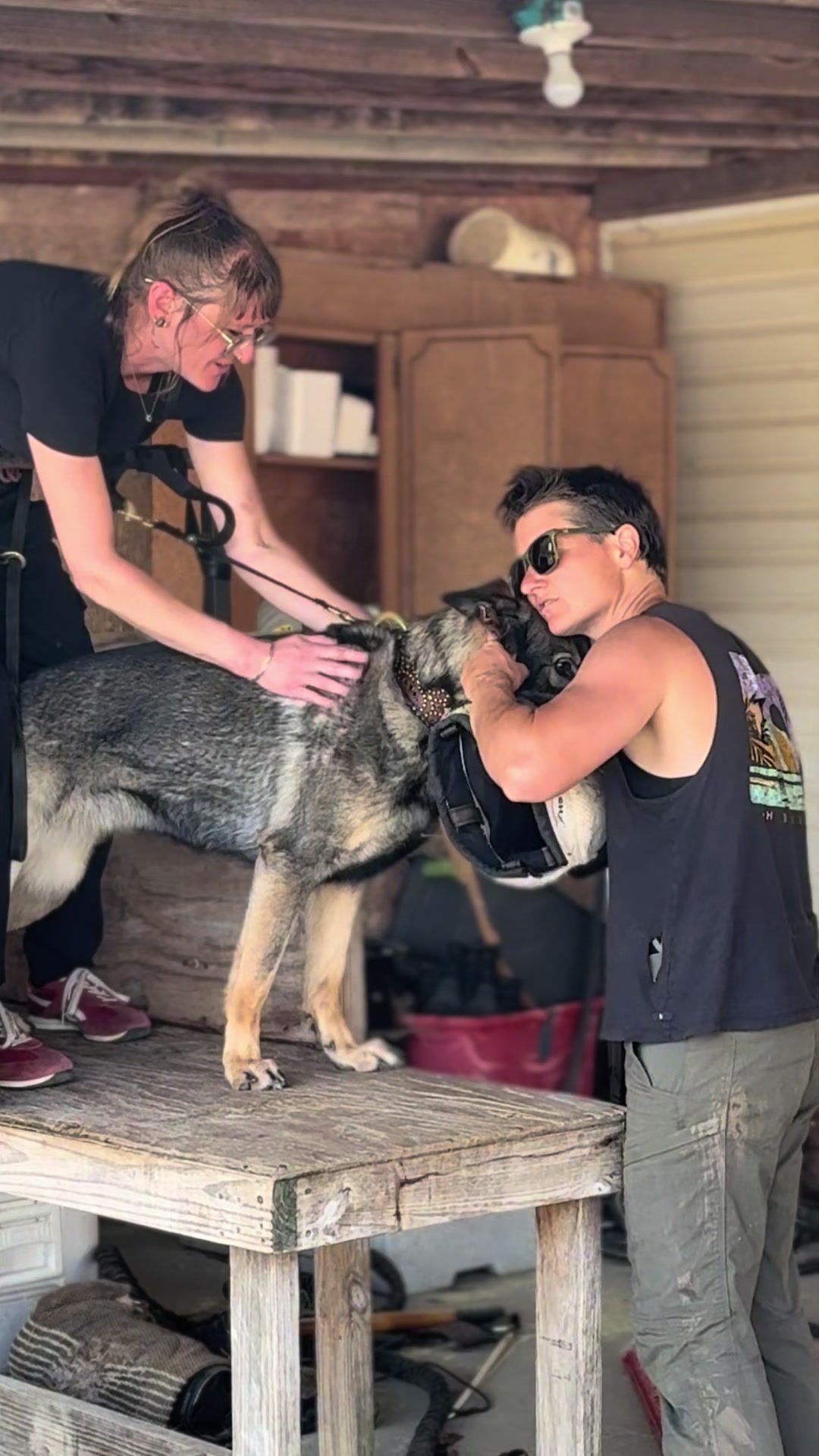 @the.wolf.princess