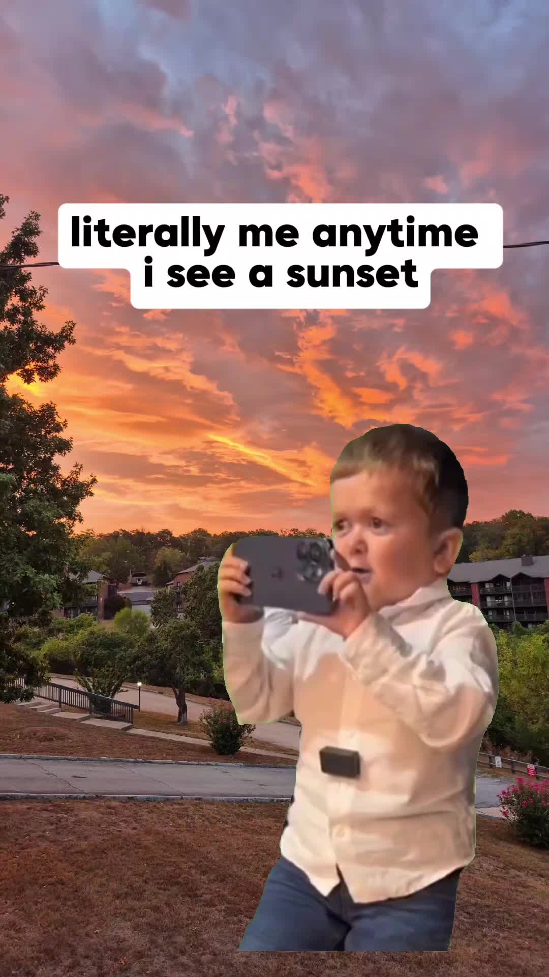 @tattered.gemini