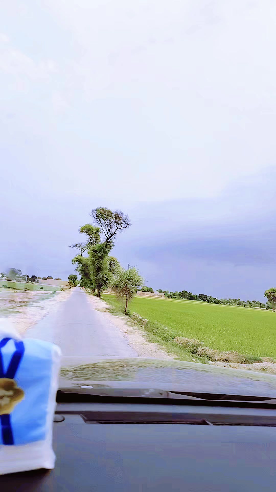 @gulsher khan