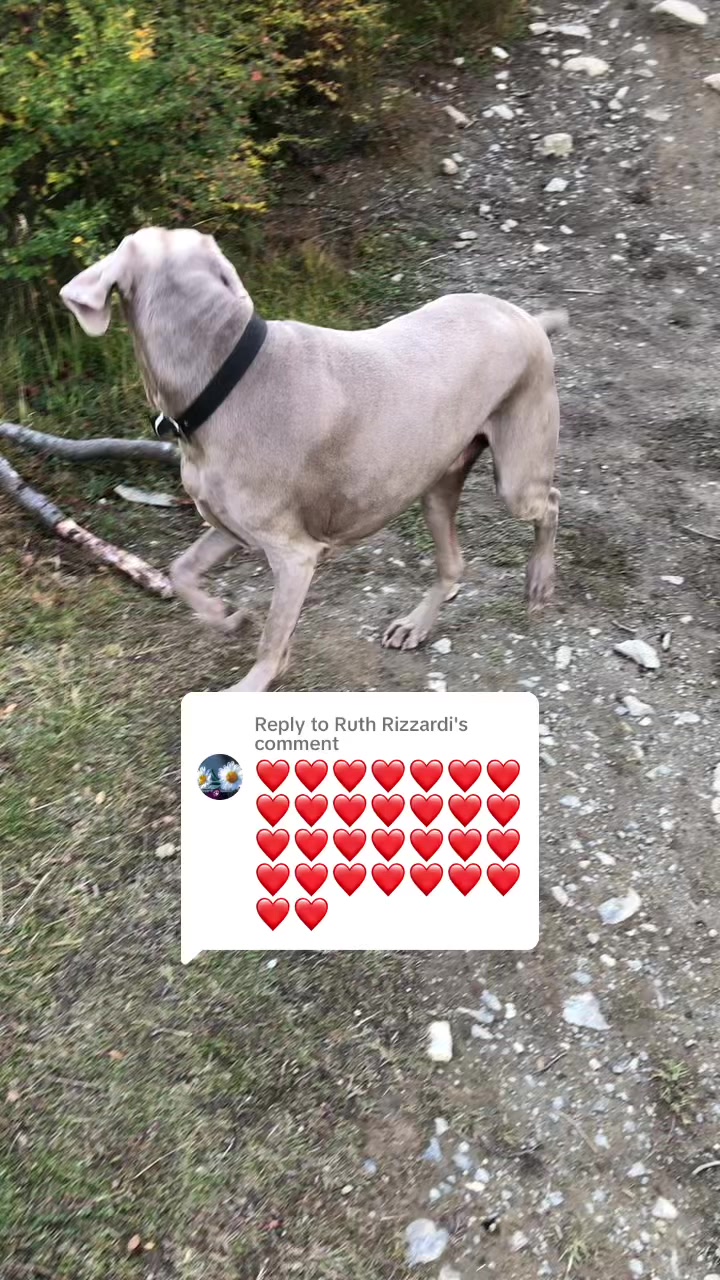 @Chinita