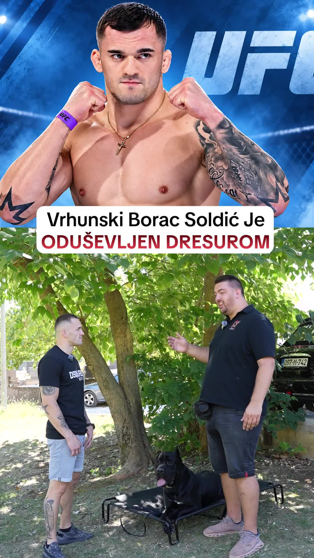 @superdog.akademija