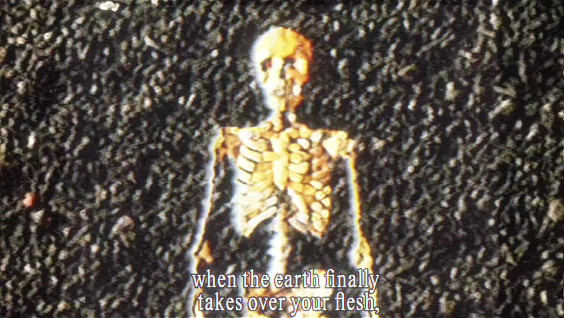 @decayed signal 𓃔