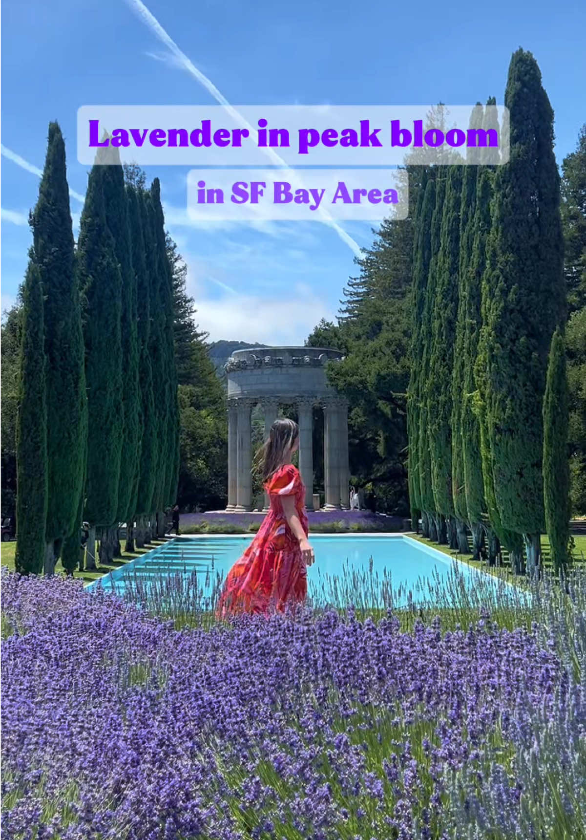 @lana_travel_creator