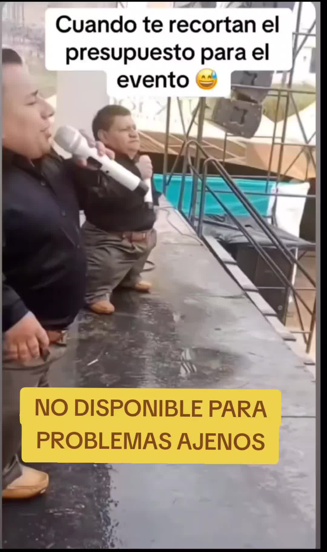 @el panda solitario