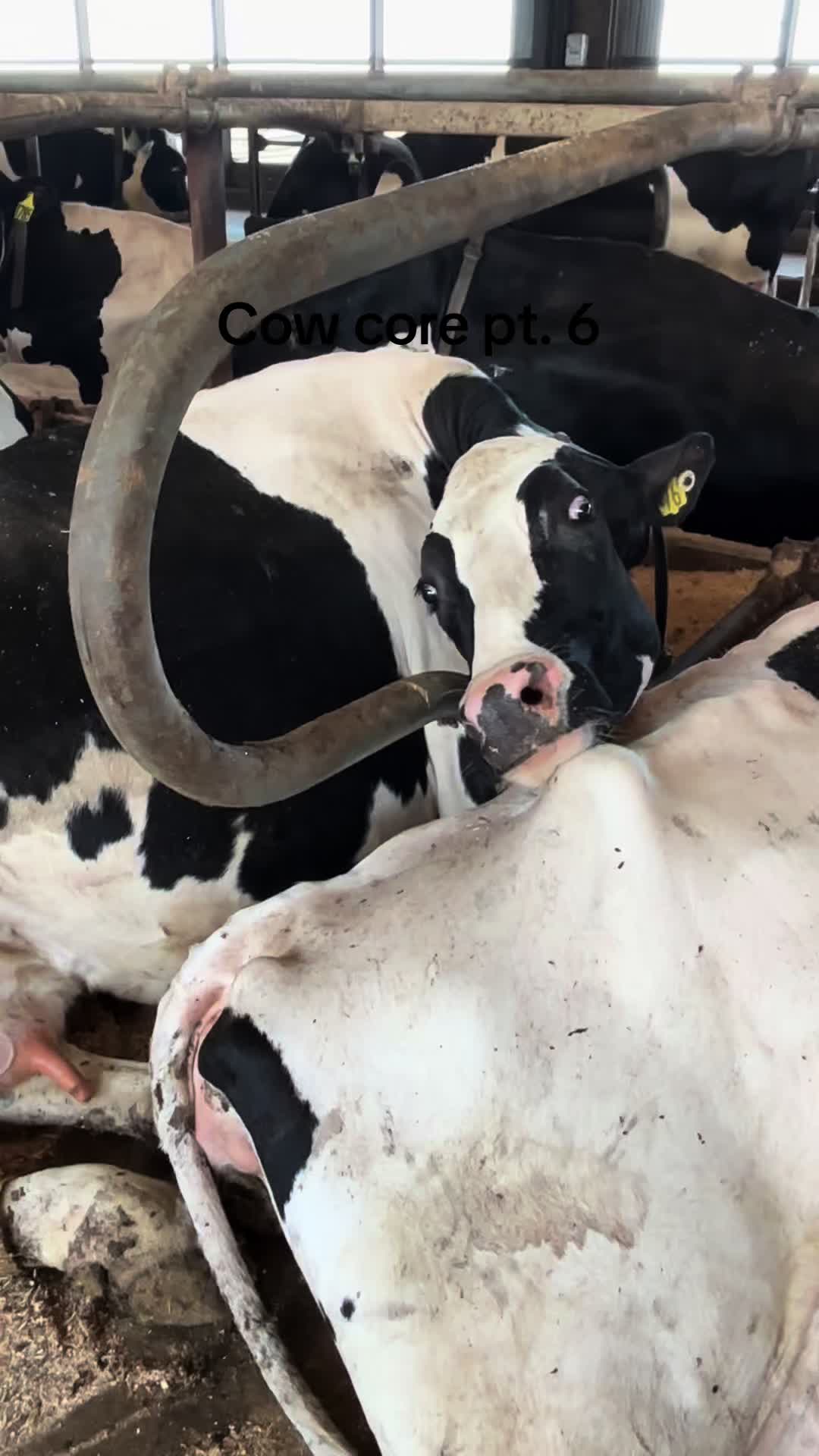 @Pingrey Family Farm LLC