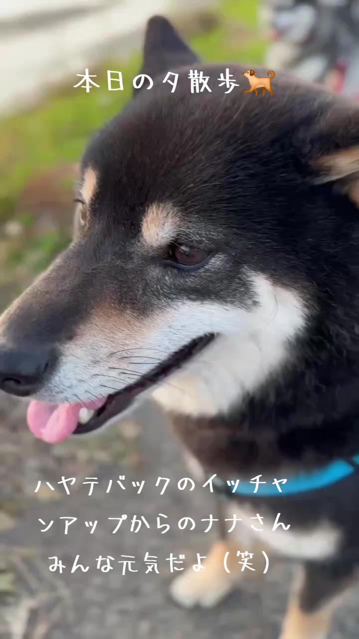 @111シンゴ