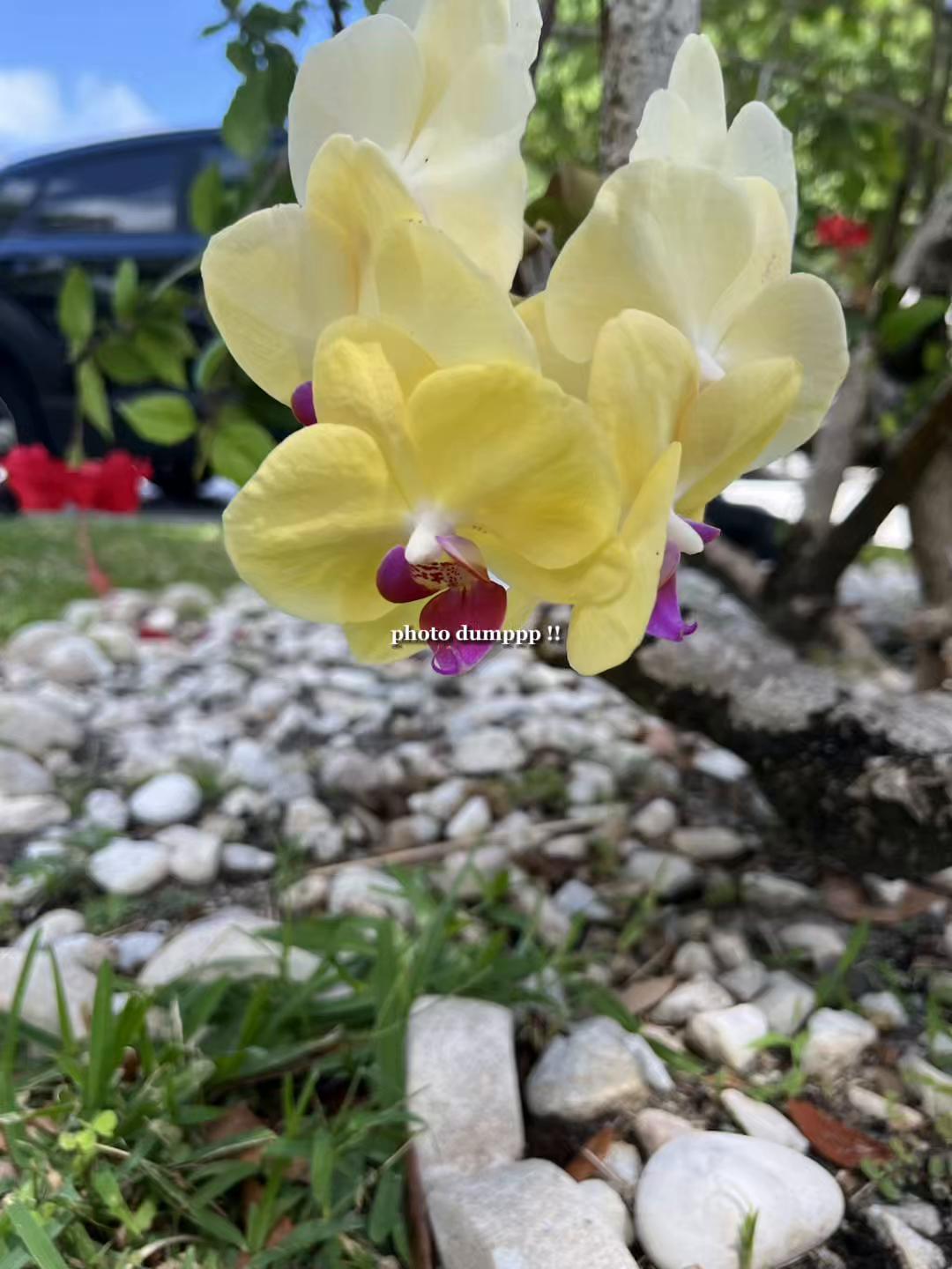 @Rosie🌺