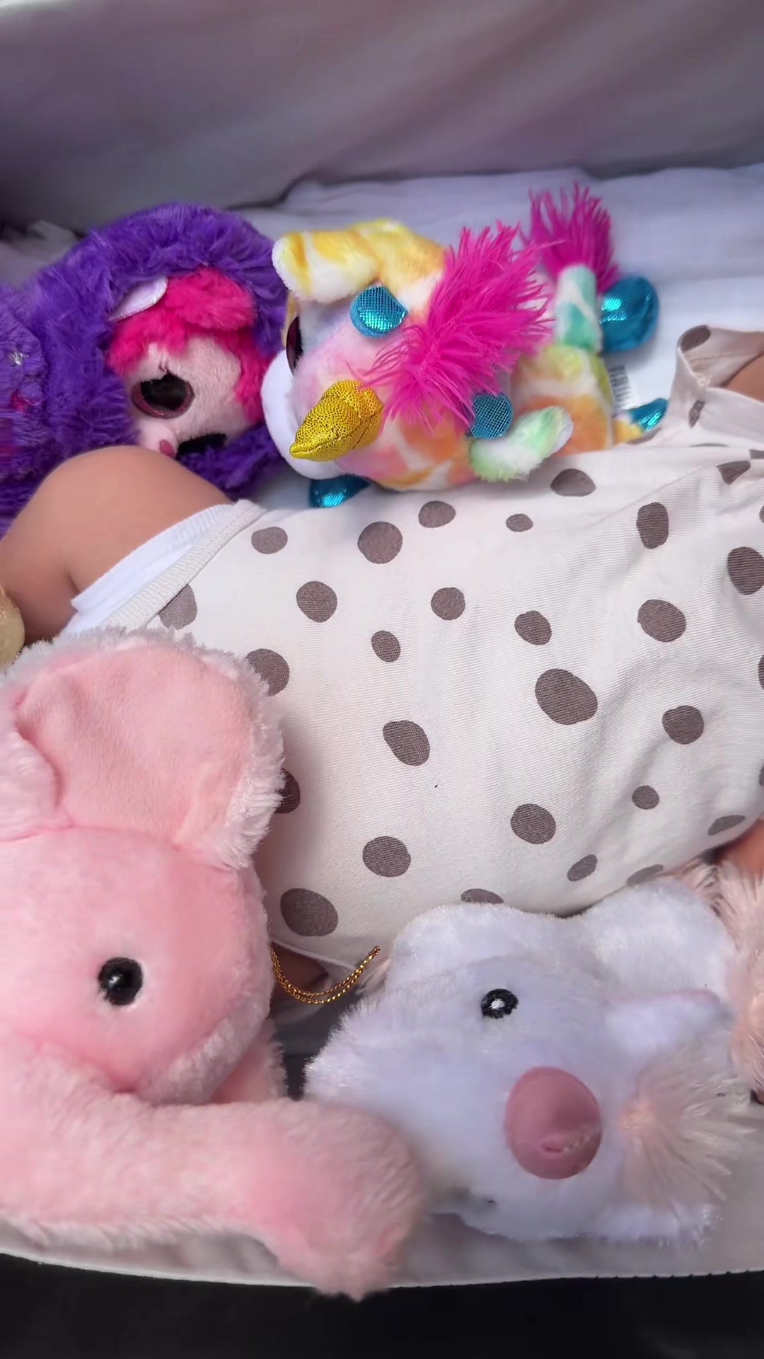 @Lexi 🧸