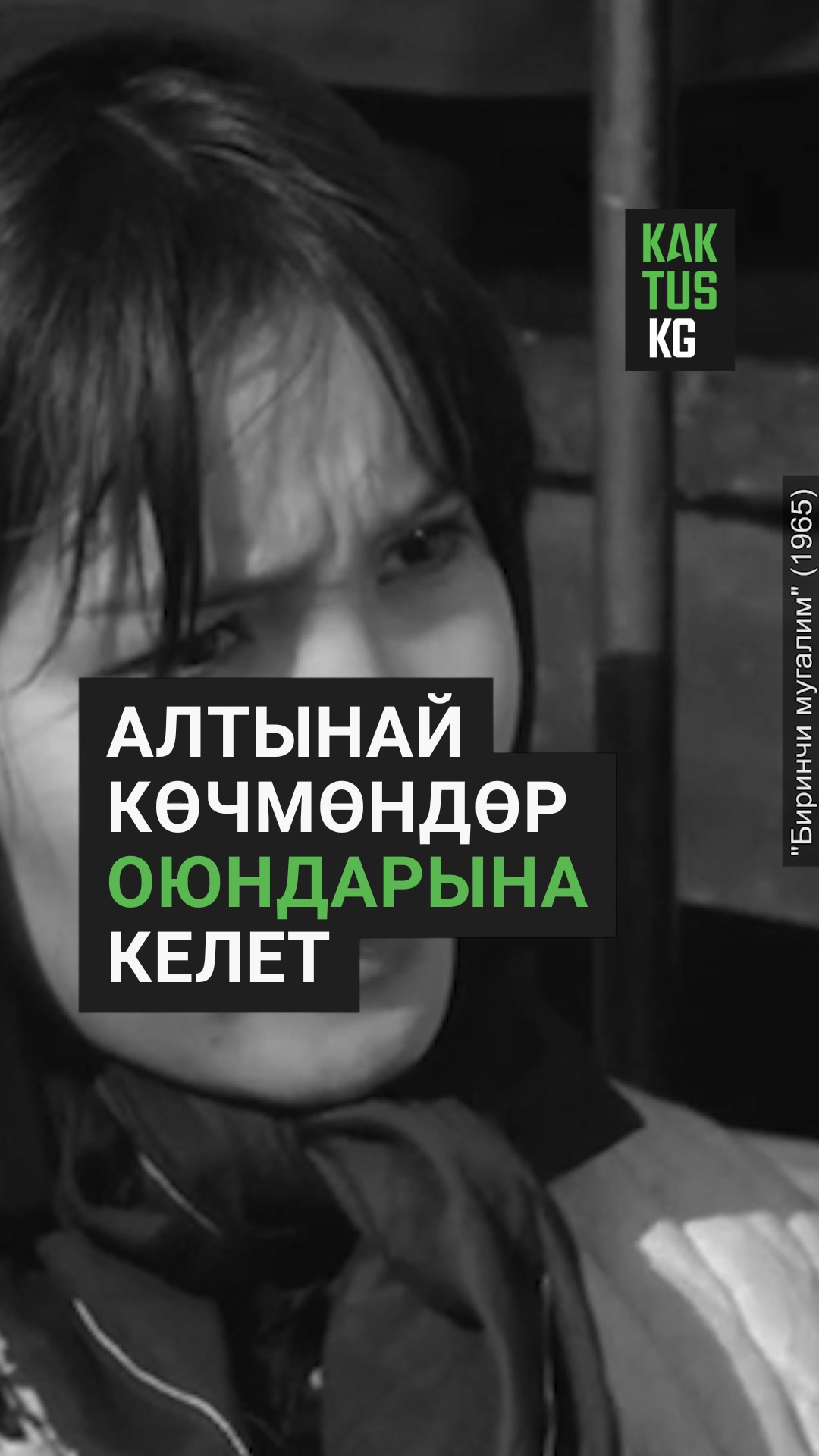@Kaktus KG