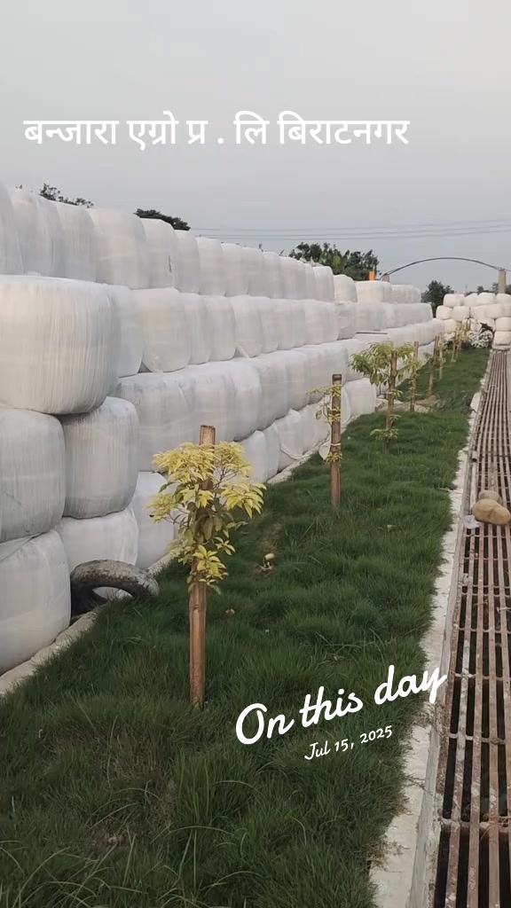 @Banjara Agro