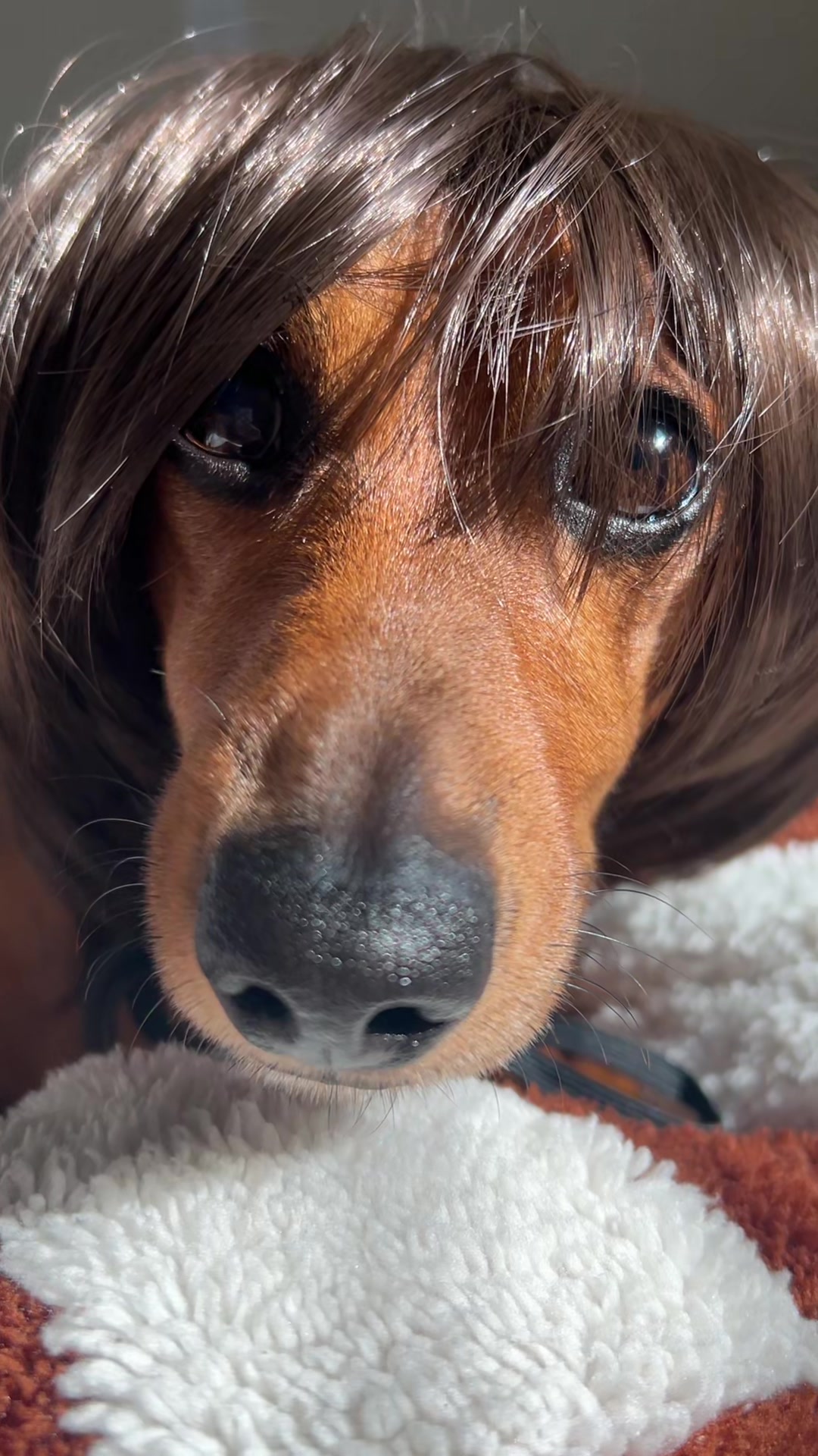 @Slinky Severus-Doo